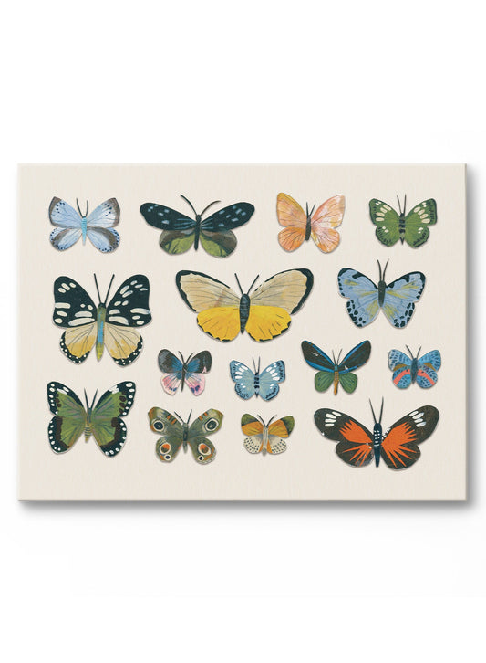 Little Butterfly Beauties, Canvas