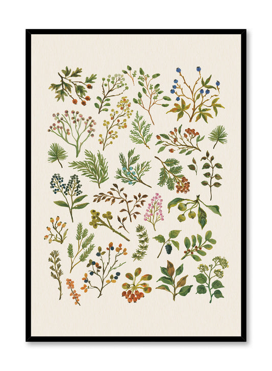 Pressed Botanical Study, Poster