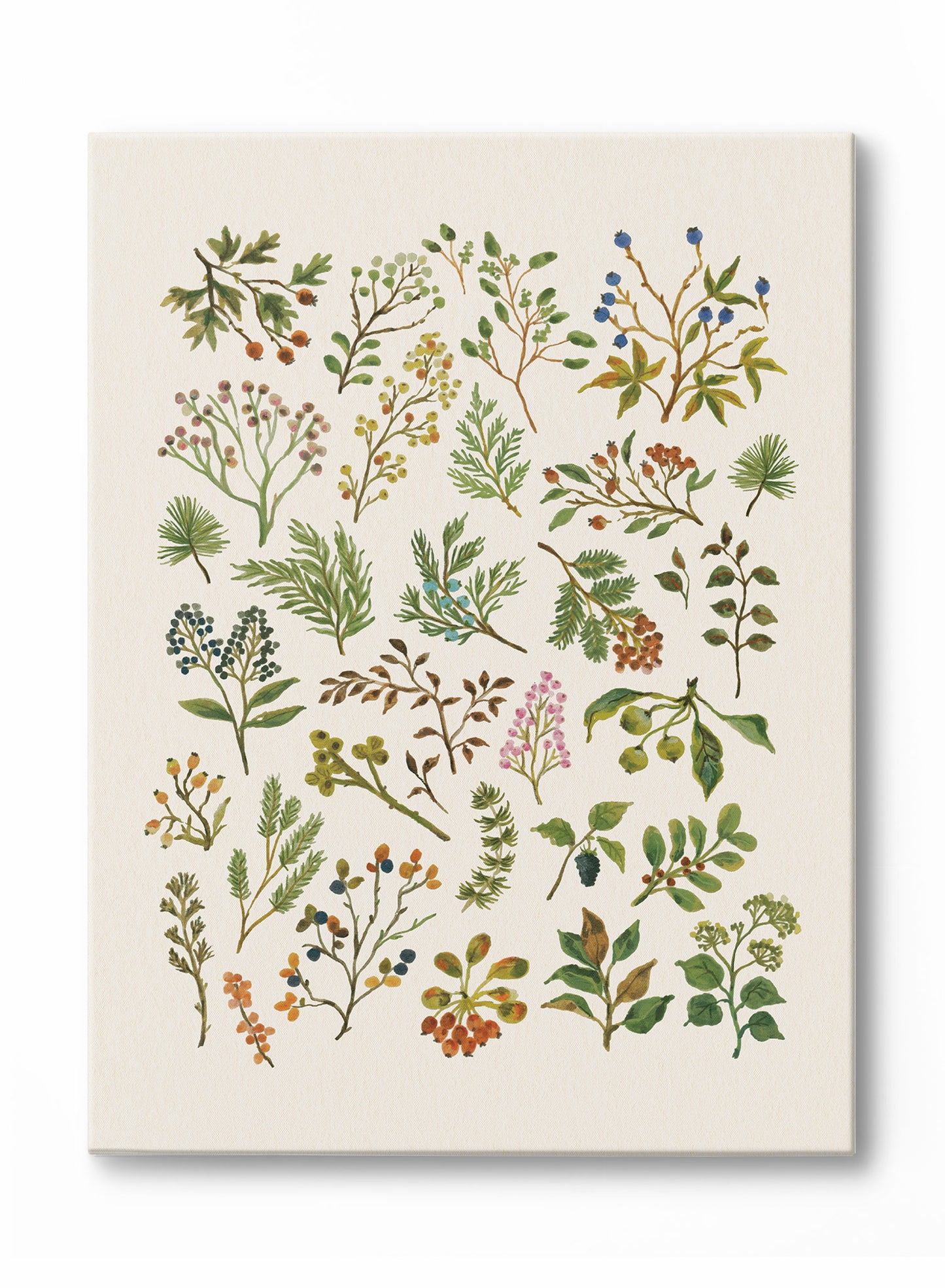 Pressed Botanical Study, Poster