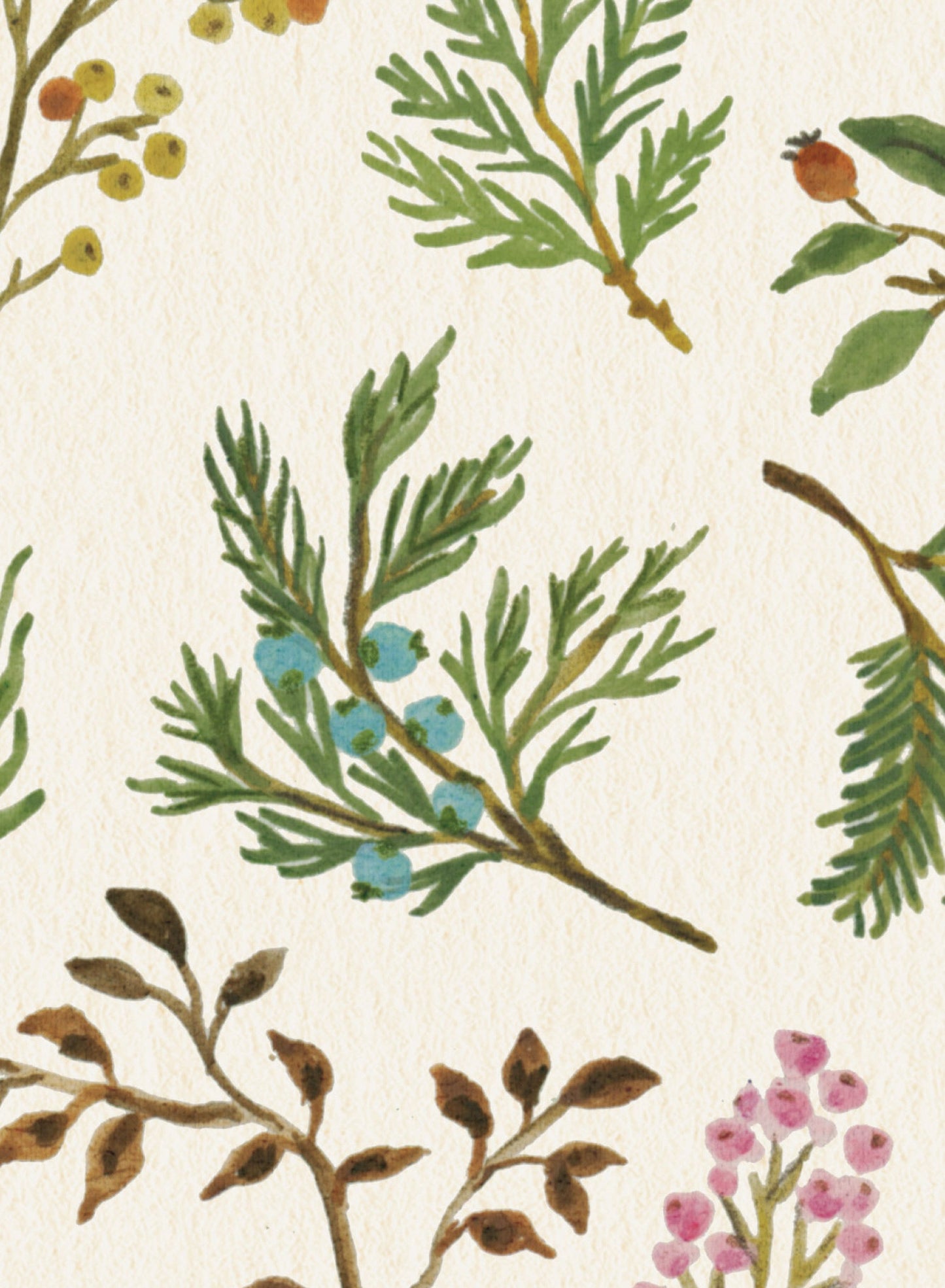 Étude botanique séchée, Toile