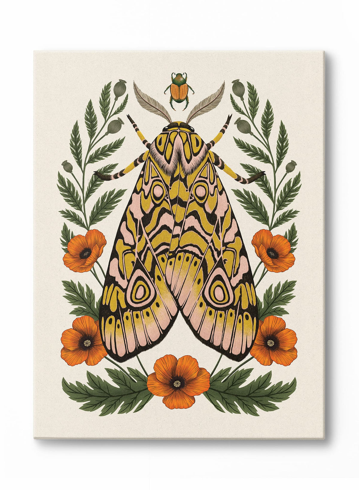 Dawn Moth, Poster