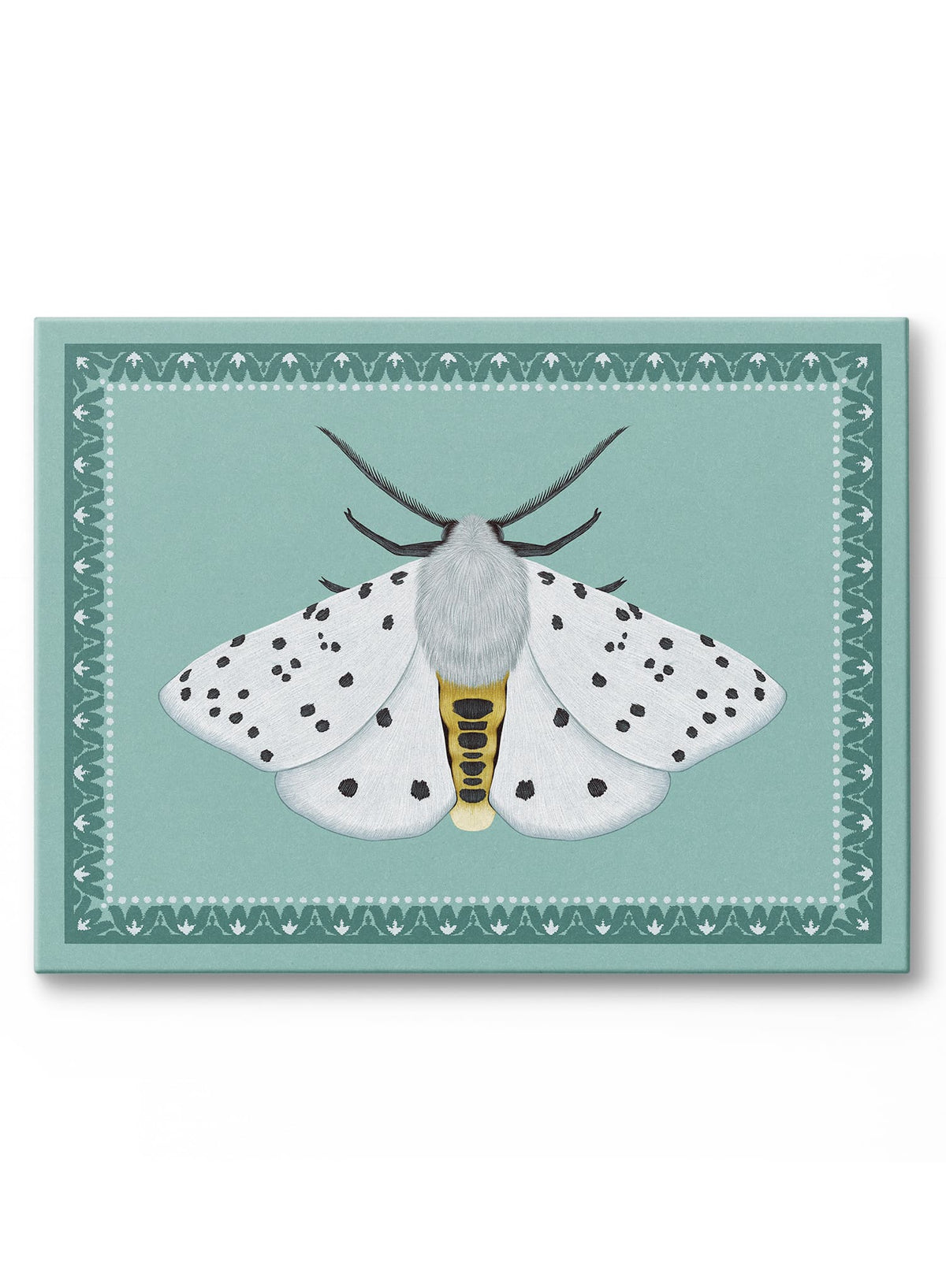 Minty Moth, Poster
