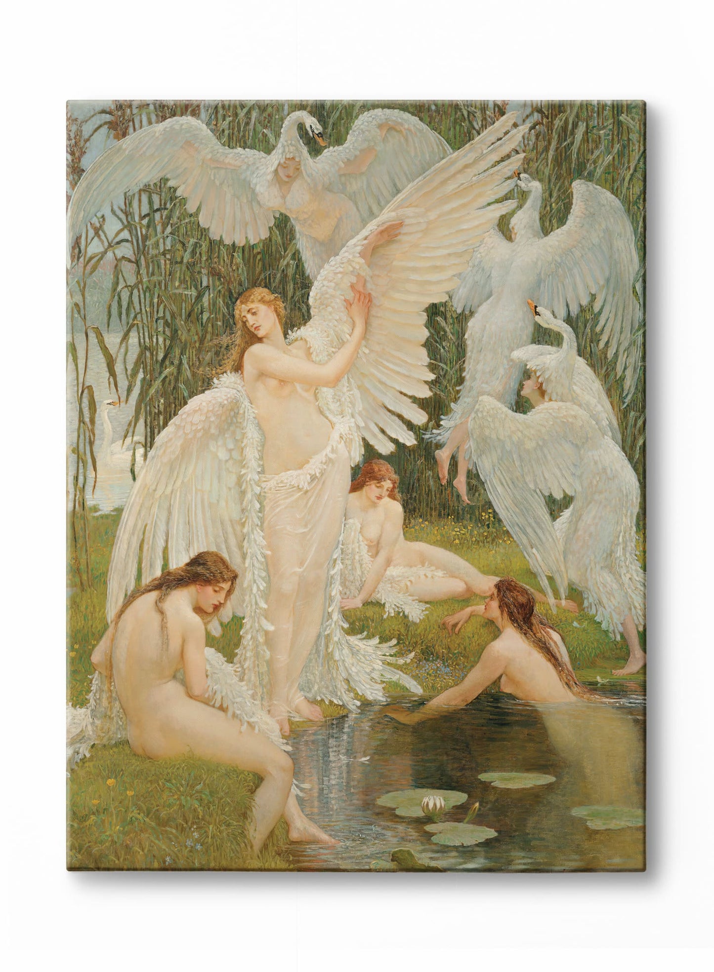 Feathered Beauties, Poster