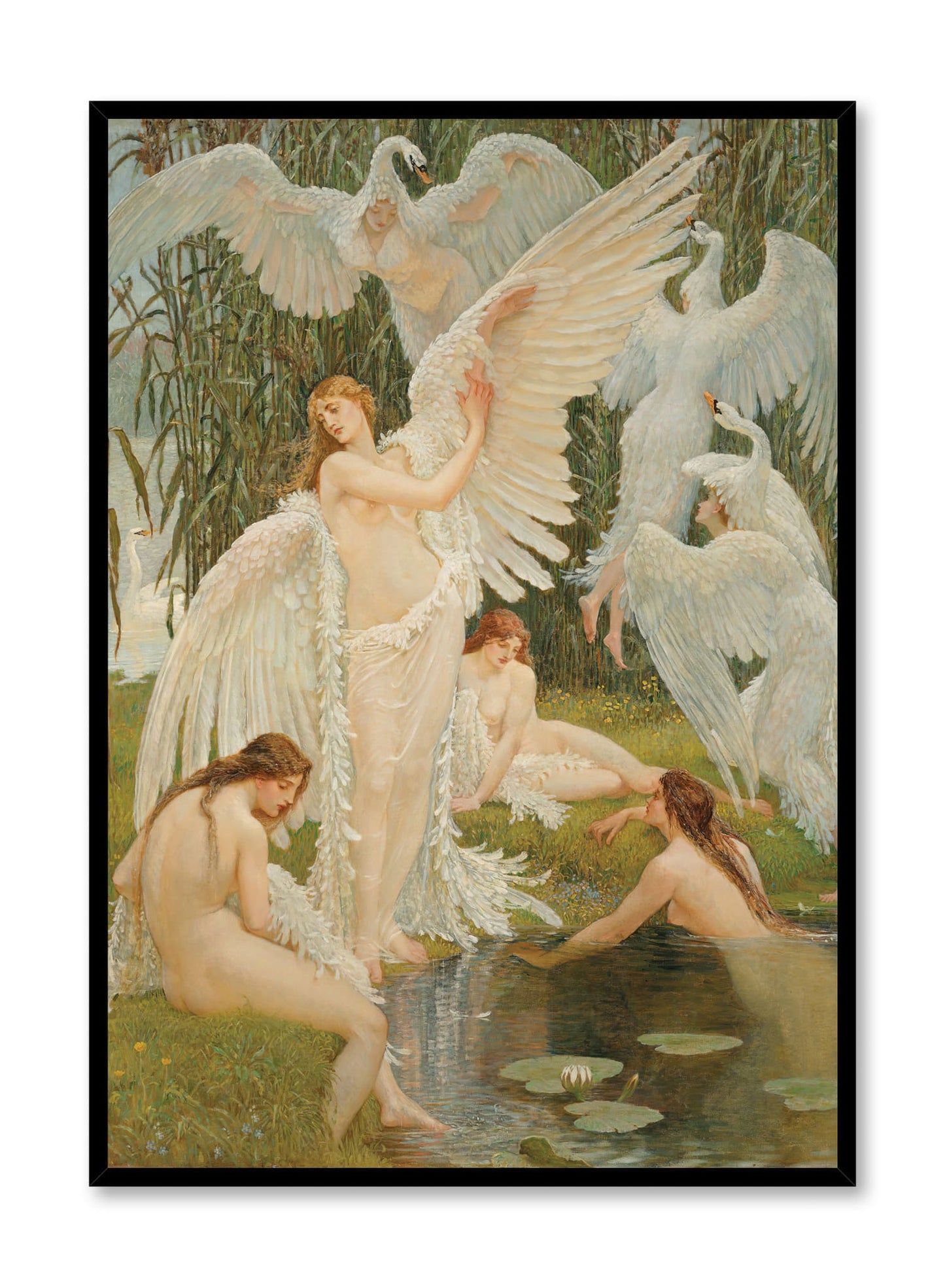 Feathered Beauties, Poster
