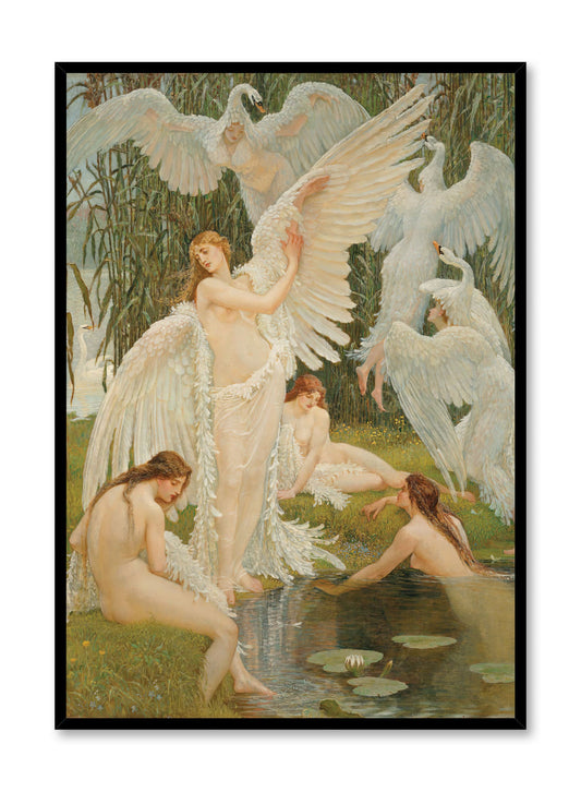 Feathered Beauties, Poster