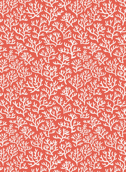 Coral Club, Wallpaper