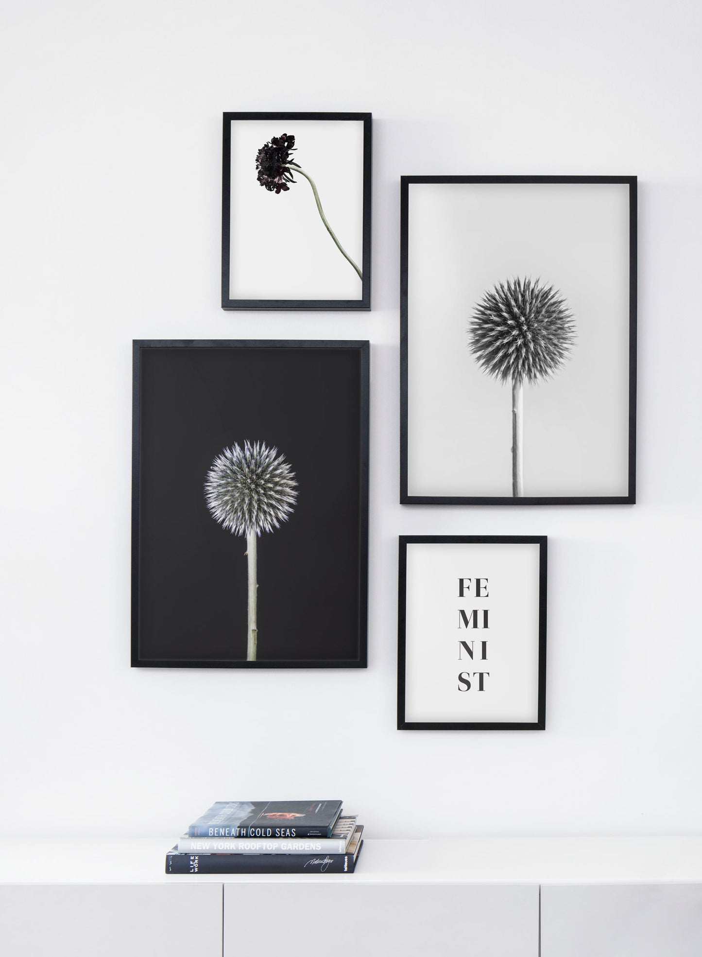 Scandinavian art print by Opposite Wall with Silver White Thistle art photo - Living room bookshelf