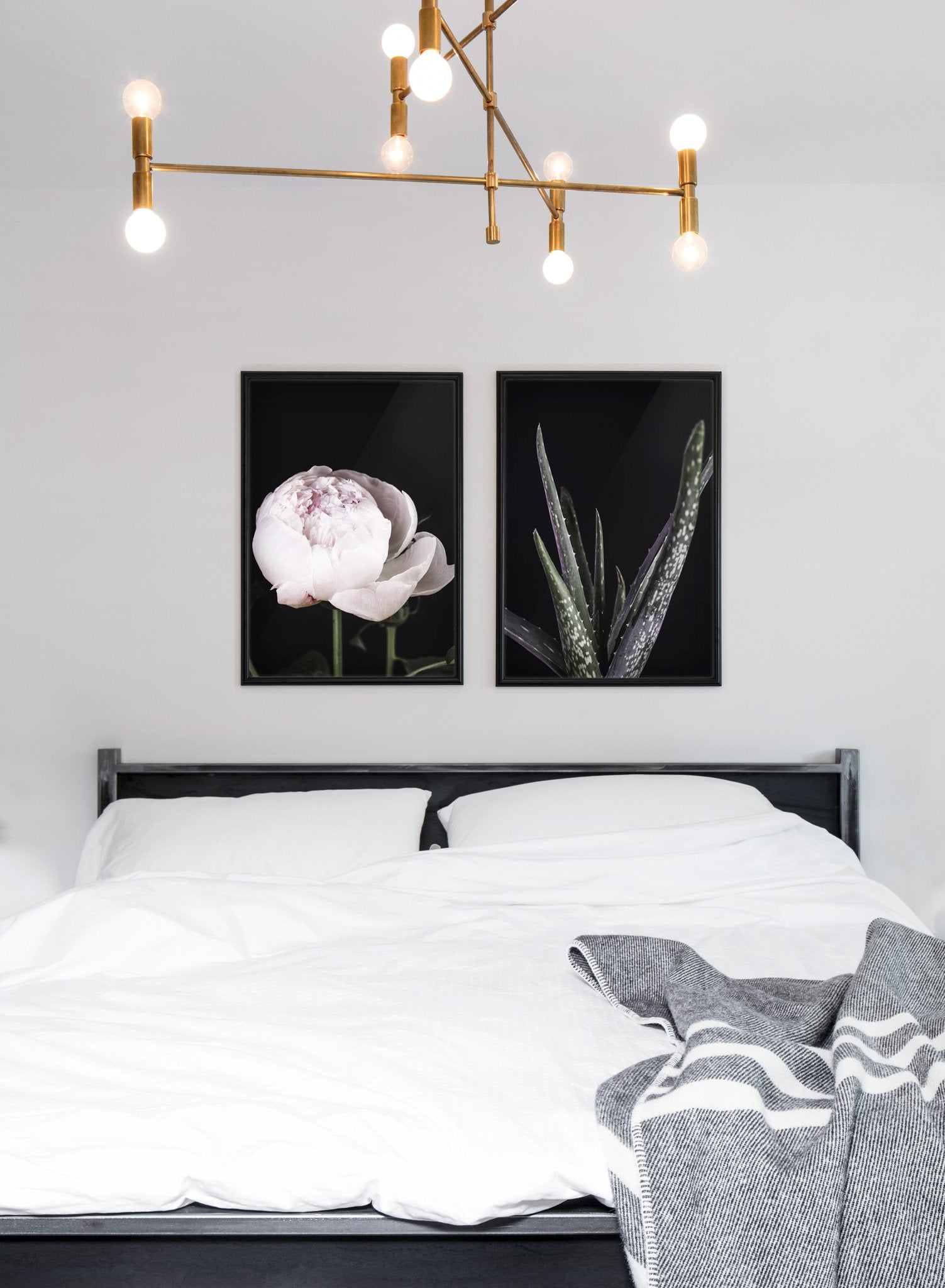 Scandinavian art print by Opposite Wall with Aloes art photo in black