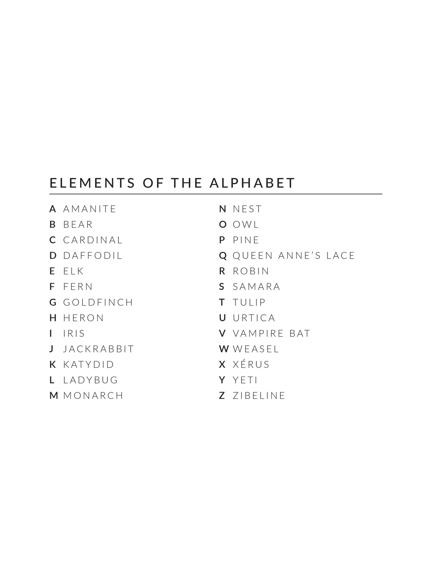 Element of the alphabet for the wallpaper woodland lesson in english