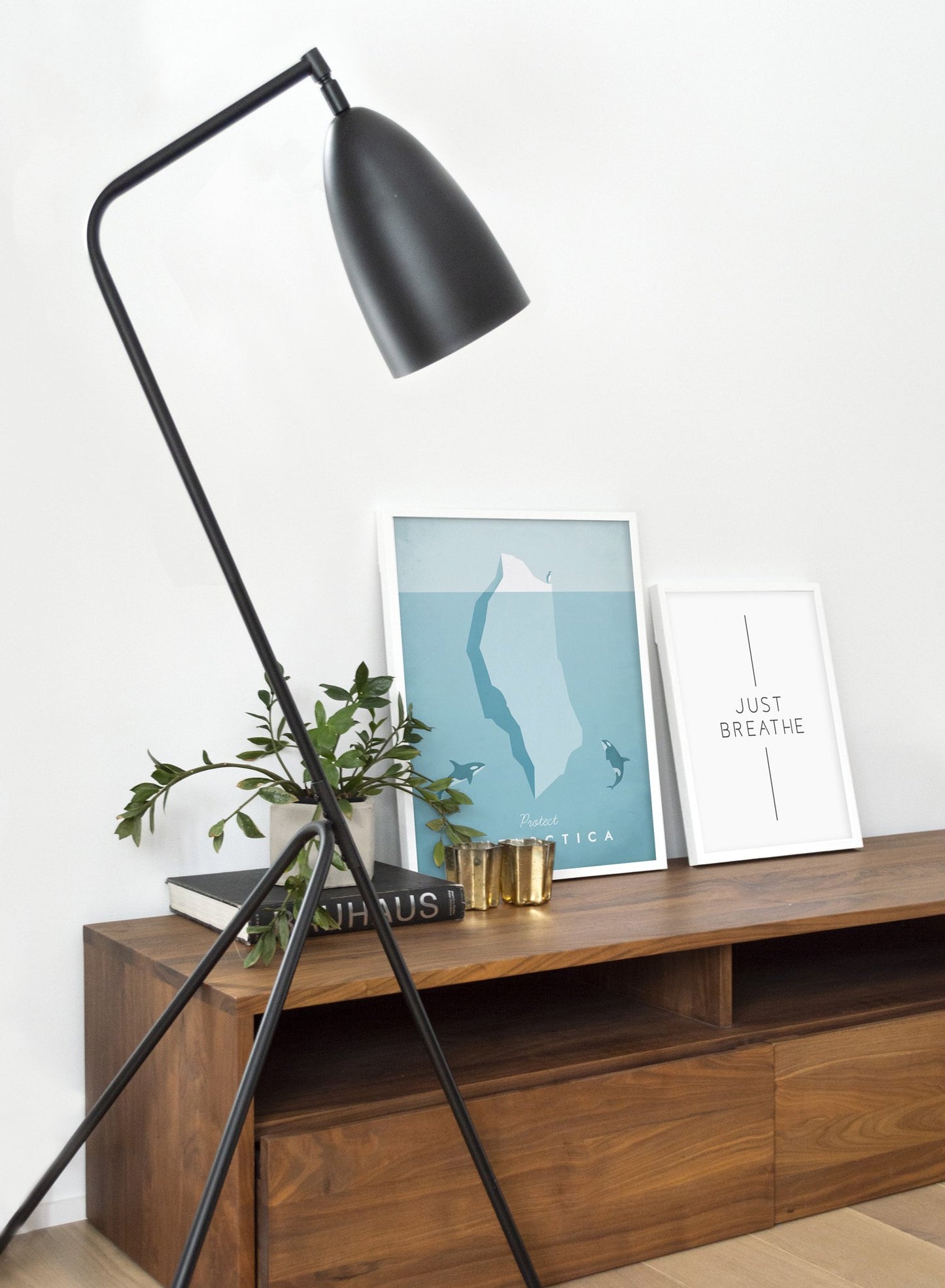 Modern minimalist poster by Opposite Wall with poster duo including illustration of Antarctica - Living Room