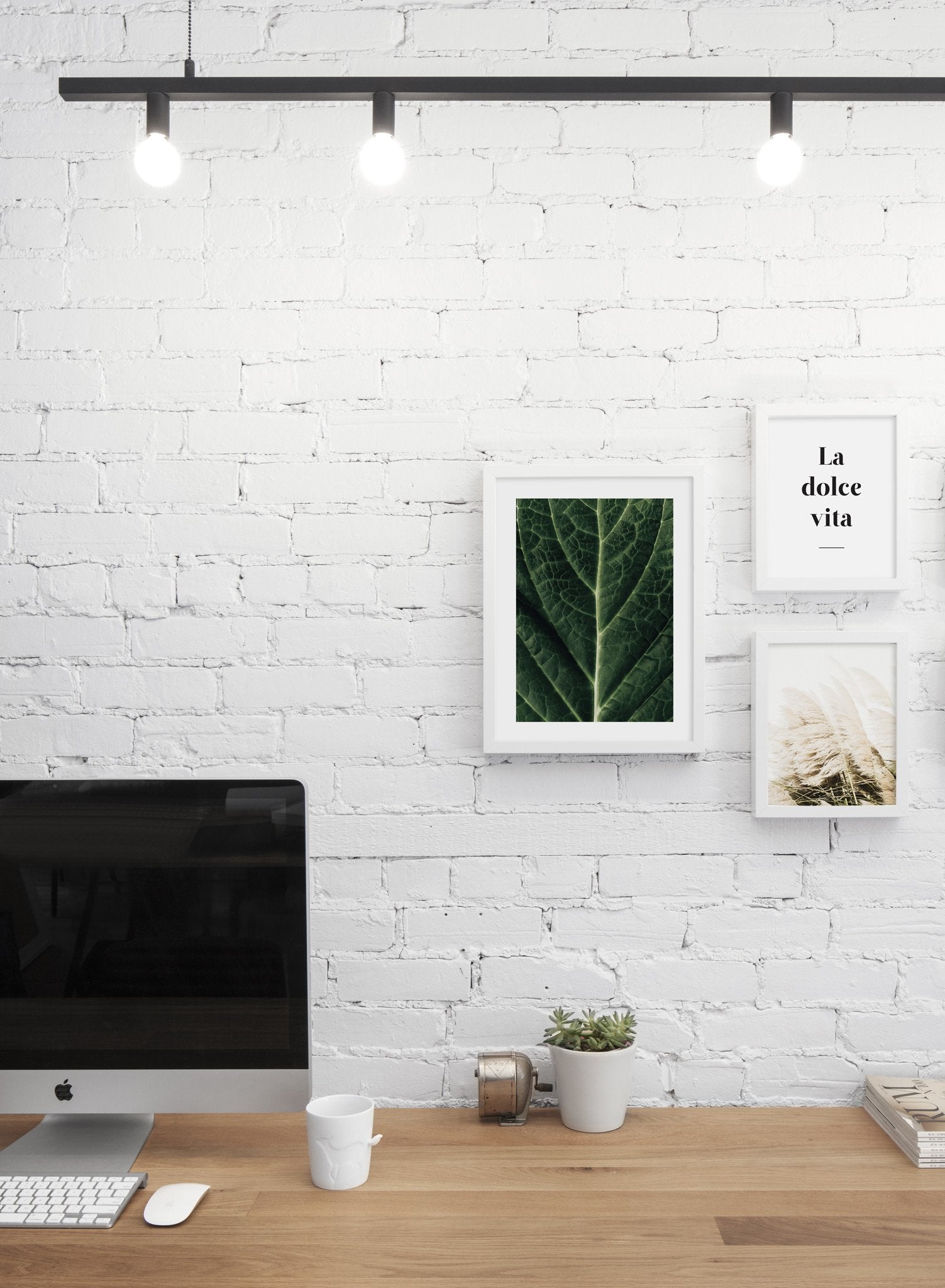 Minimalist poster trio featuring picture of close up detailed leaf botanical photography - Office