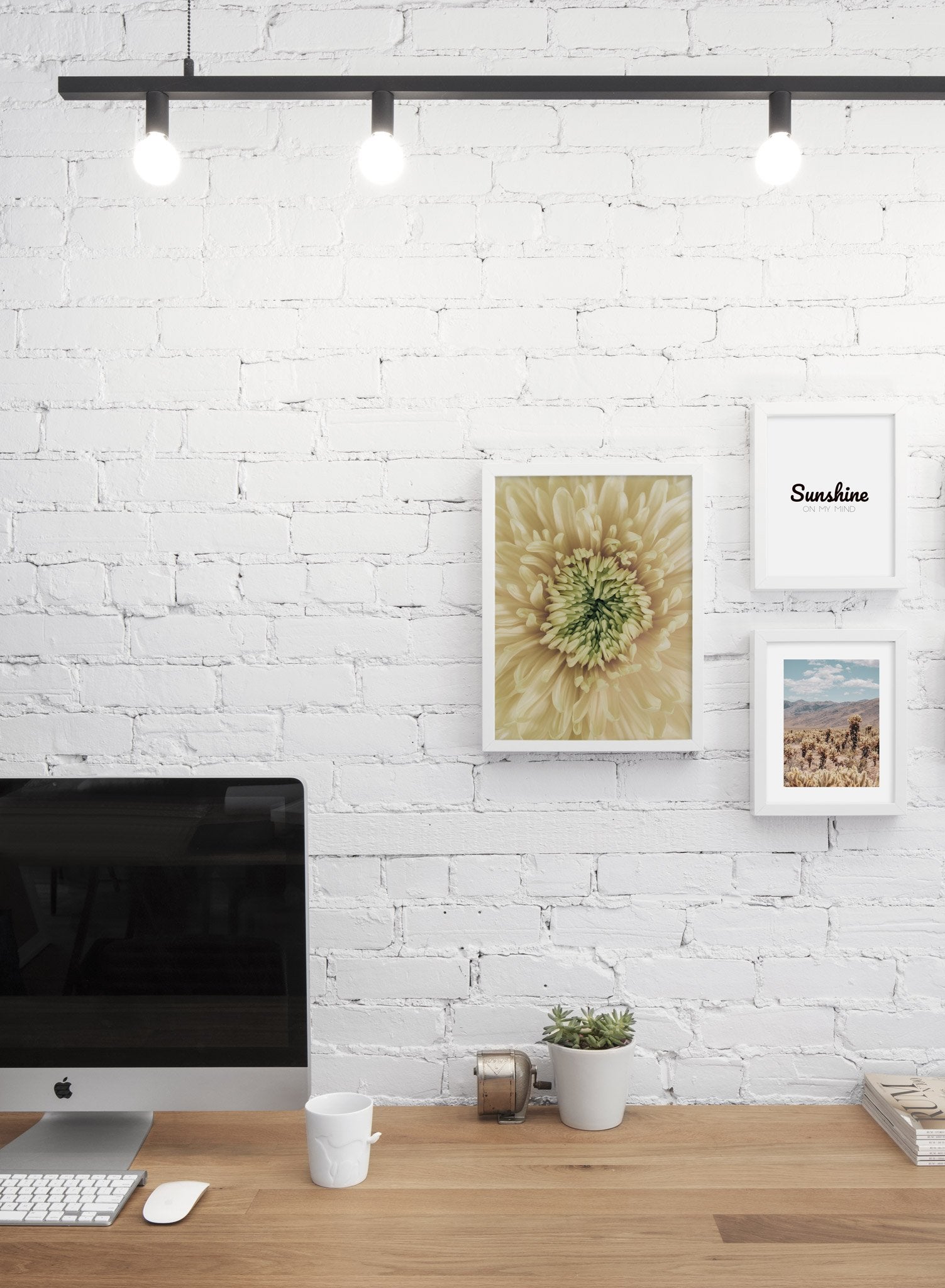 Minimalist wall poster trio featuring yellow chrysanthemum flower close up photography - Office
