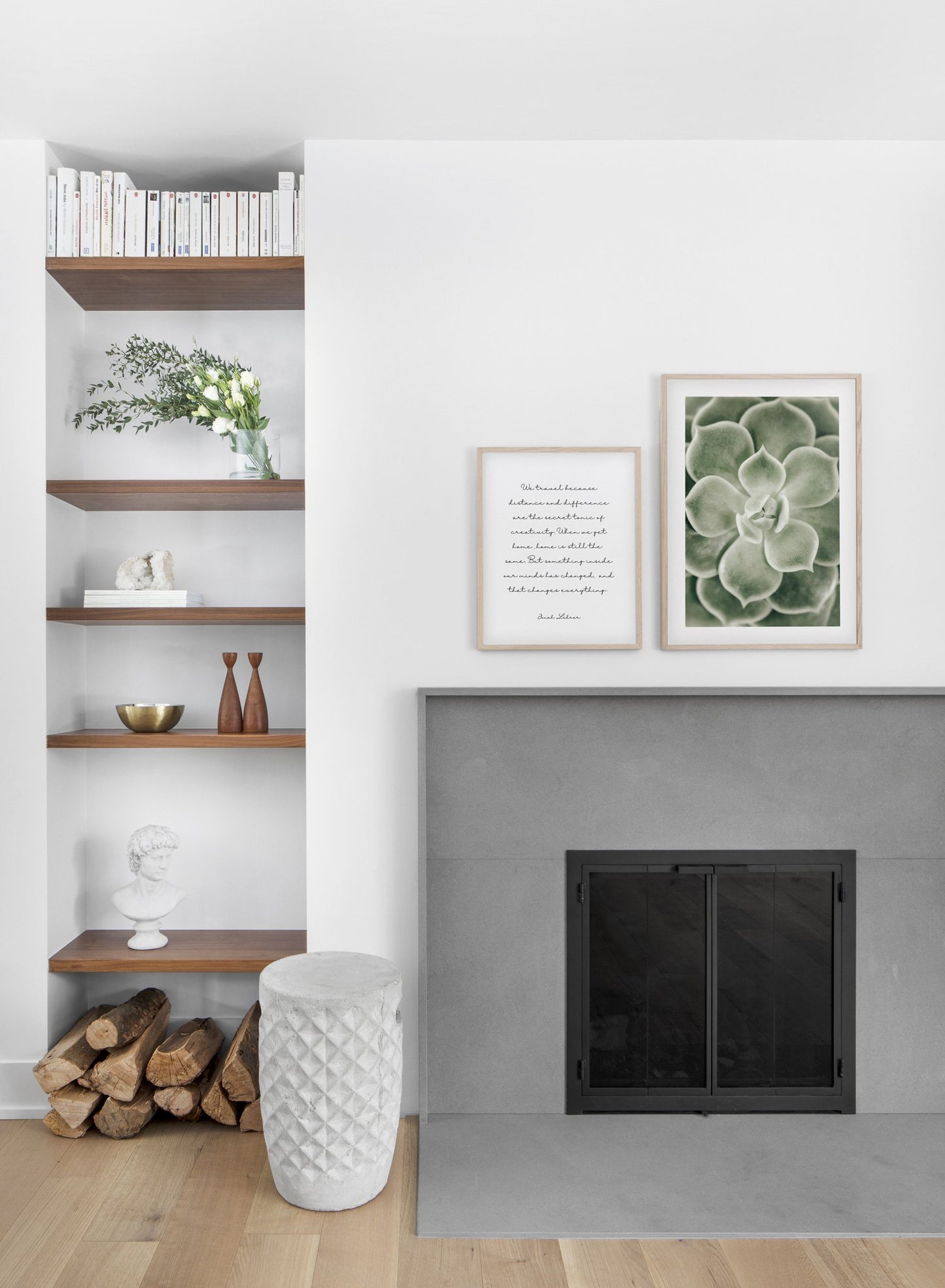Minimalist poster duo featuring green Echevaria succulent botanical photography - Fireplace