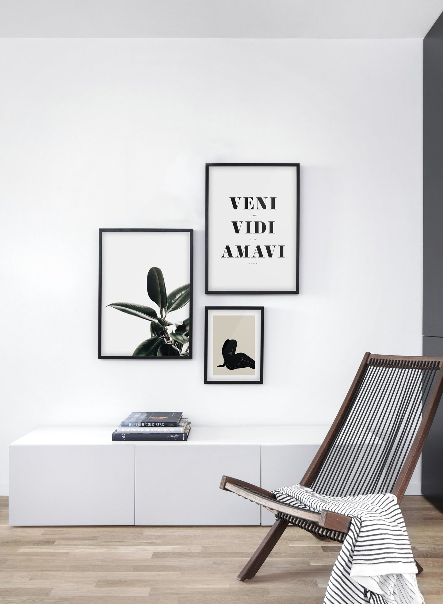 Minimalist wall art poster trio featuring Rubber Tree botanical photography - Living Room