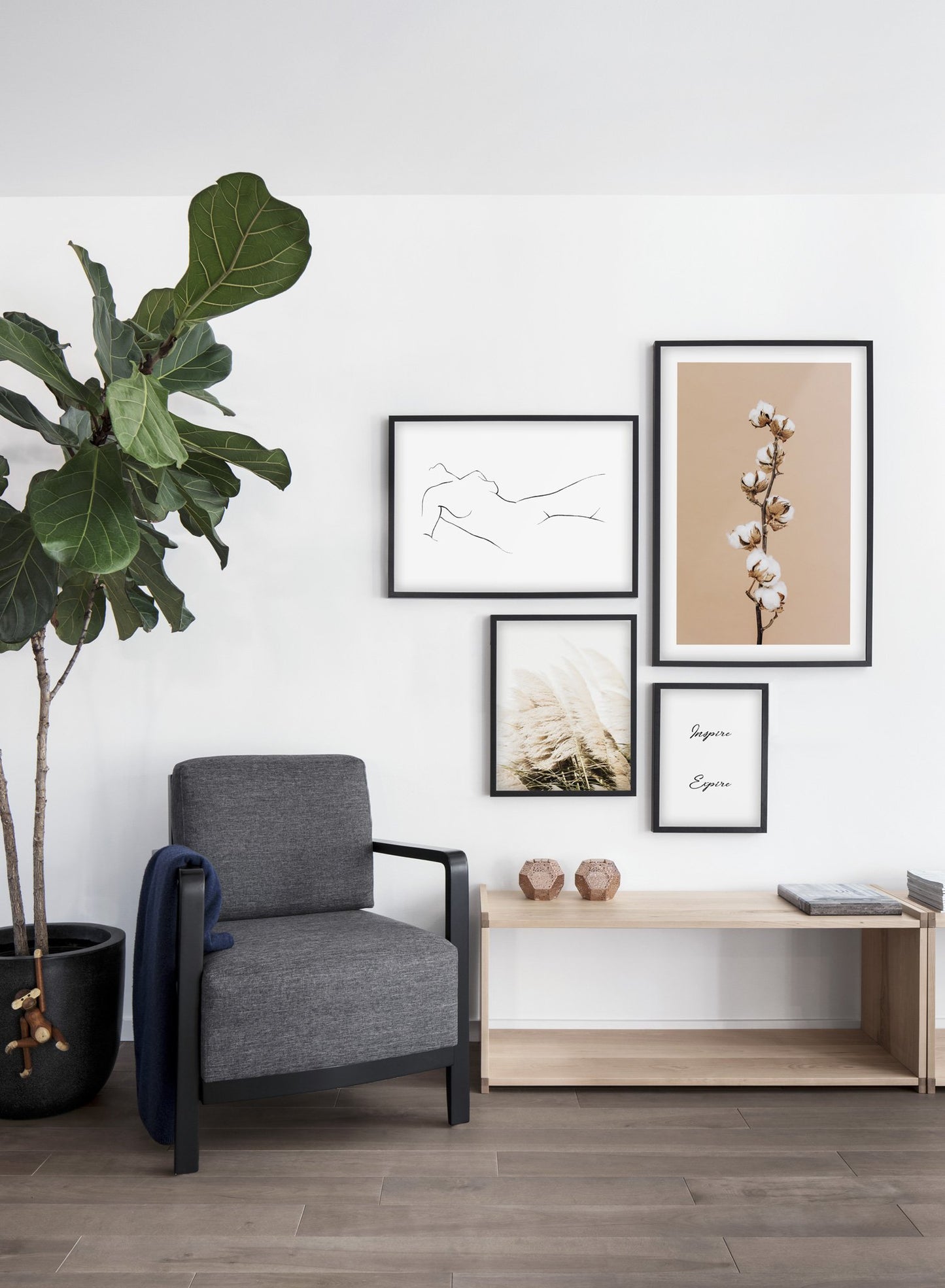 Minimalist poster quad featuring Climbing Cotton cotton plant floral photography - Living Room