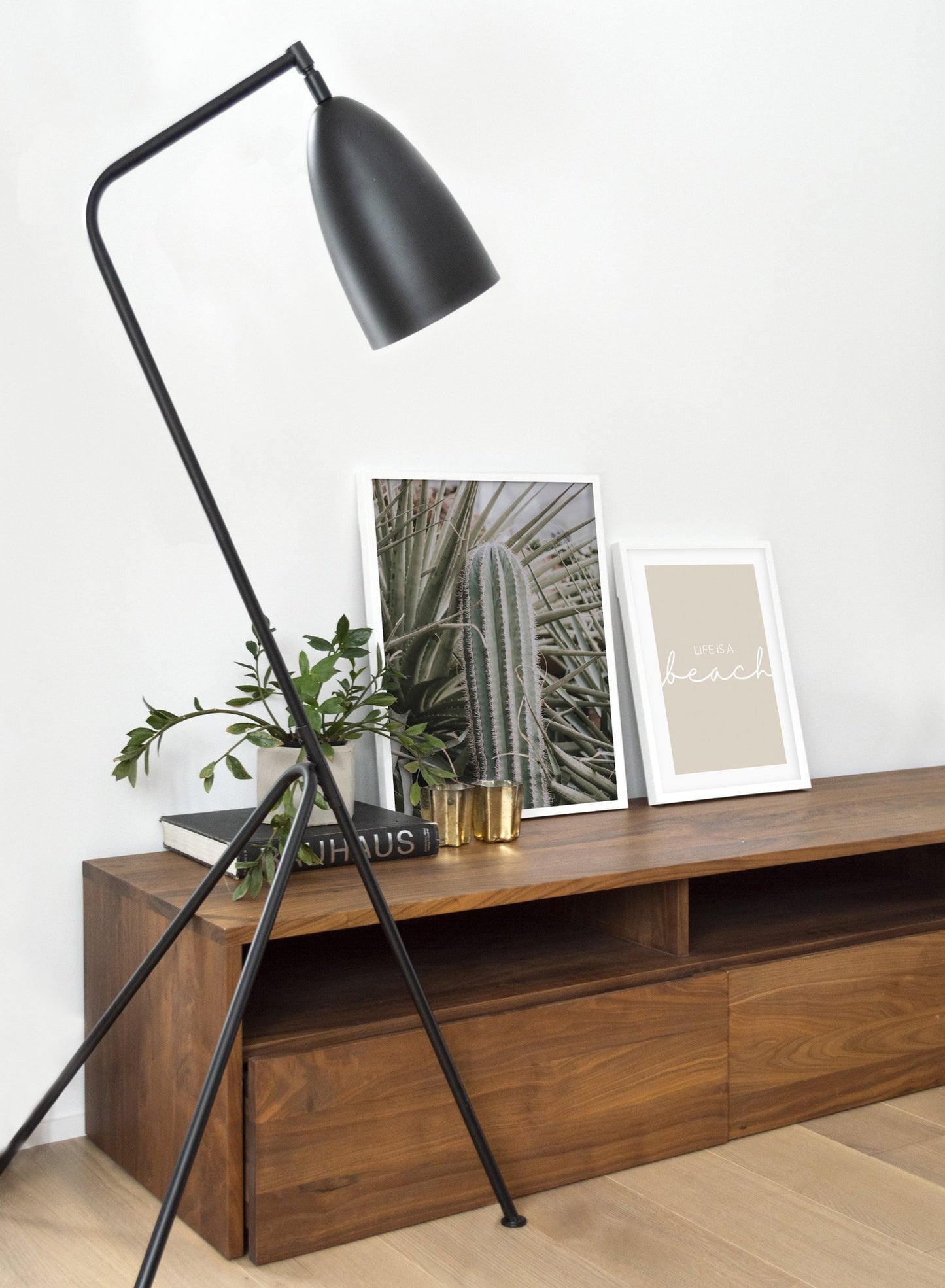 Cactus in nature modern minimalist botanical photography poster by Opposite Wall - Living room with gallery Wall duo