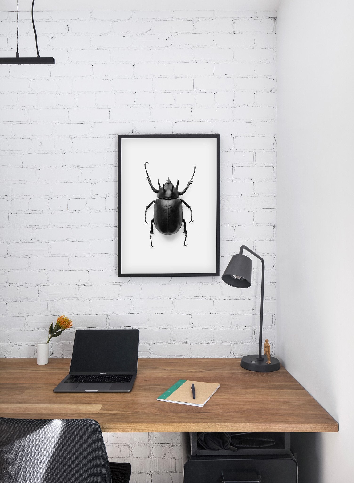 Beetle modern minimalist black and white animal photography poster of black beetle coleptera by Opposite Wall - Office Desk