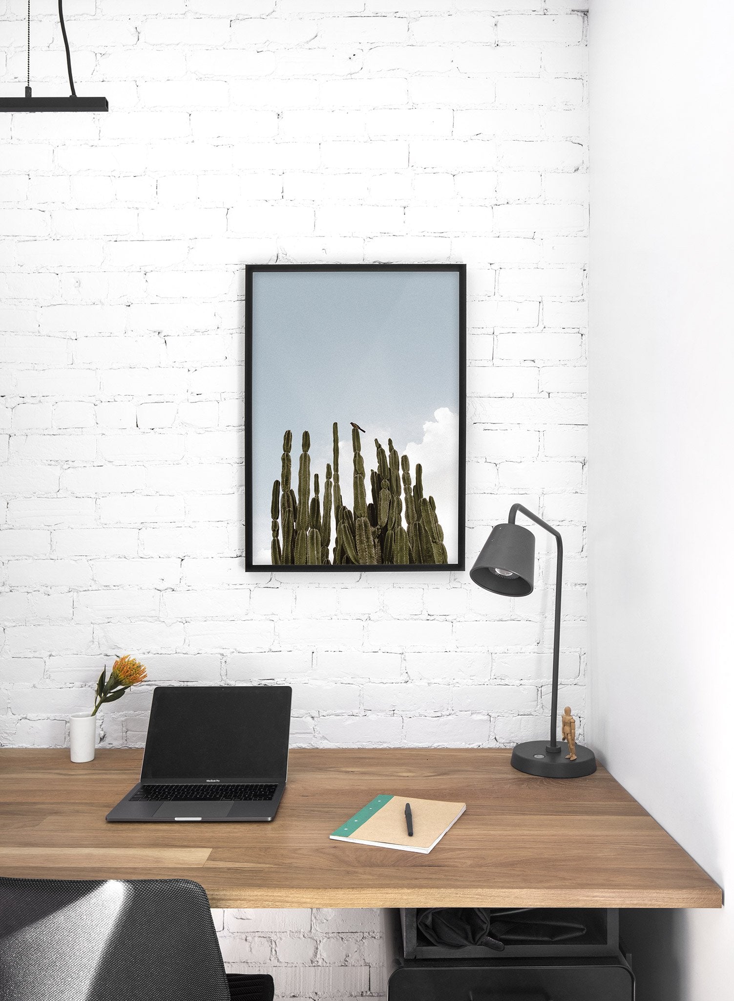 Modern minimalist photography by Opposite Wall with cactus plant against blue sky - Lifestyle - Office Desk
