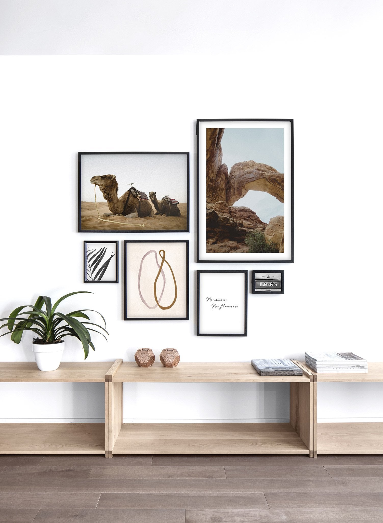Modern nature photography poster by Opposite Wall with camels in the desert - Lifestyle Gallery - Living Room