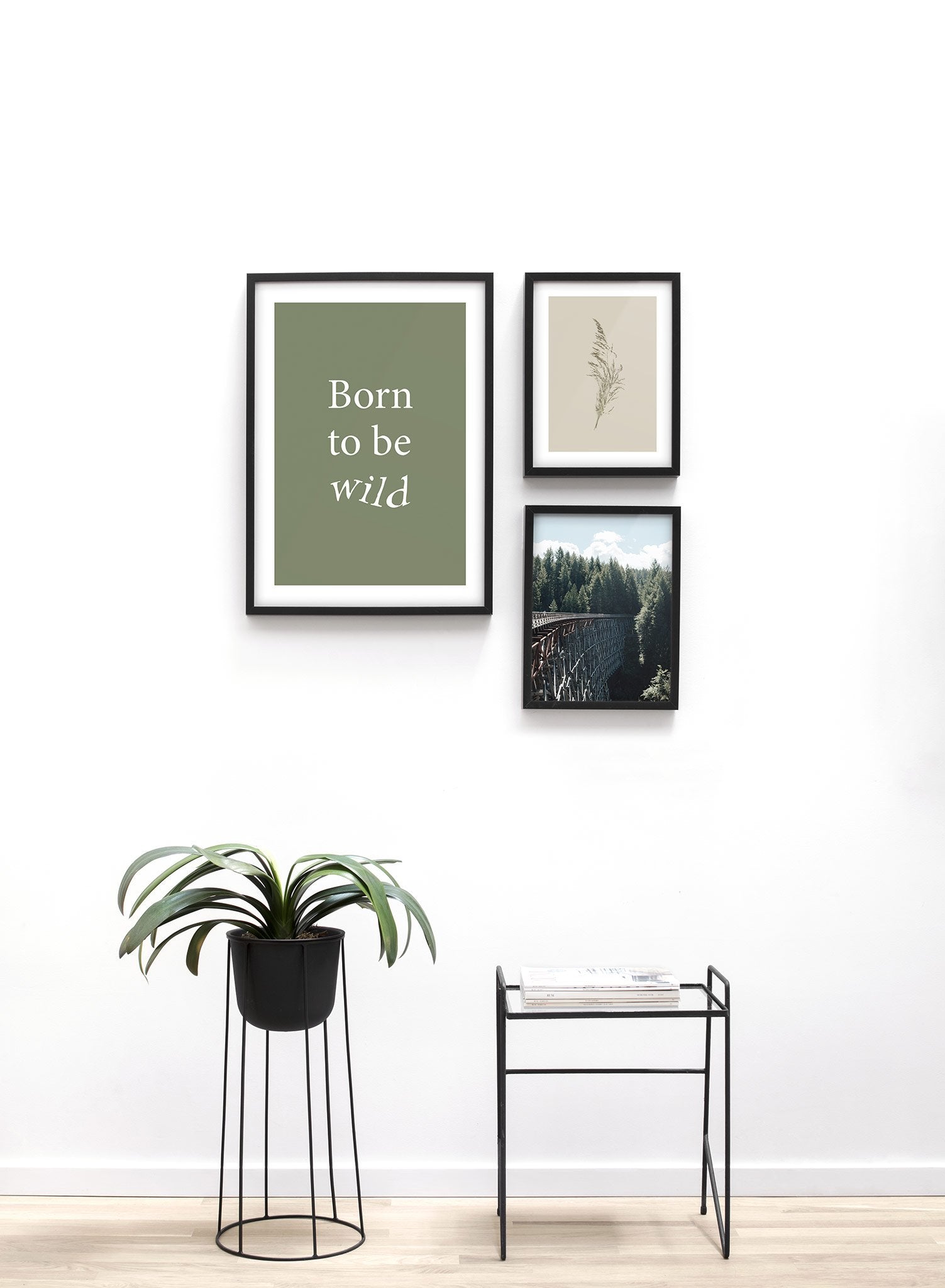 Modern minimalist typography poster by Opposite Wall with Born to be Wild quote in green - Lifestyle Trio - Living Room