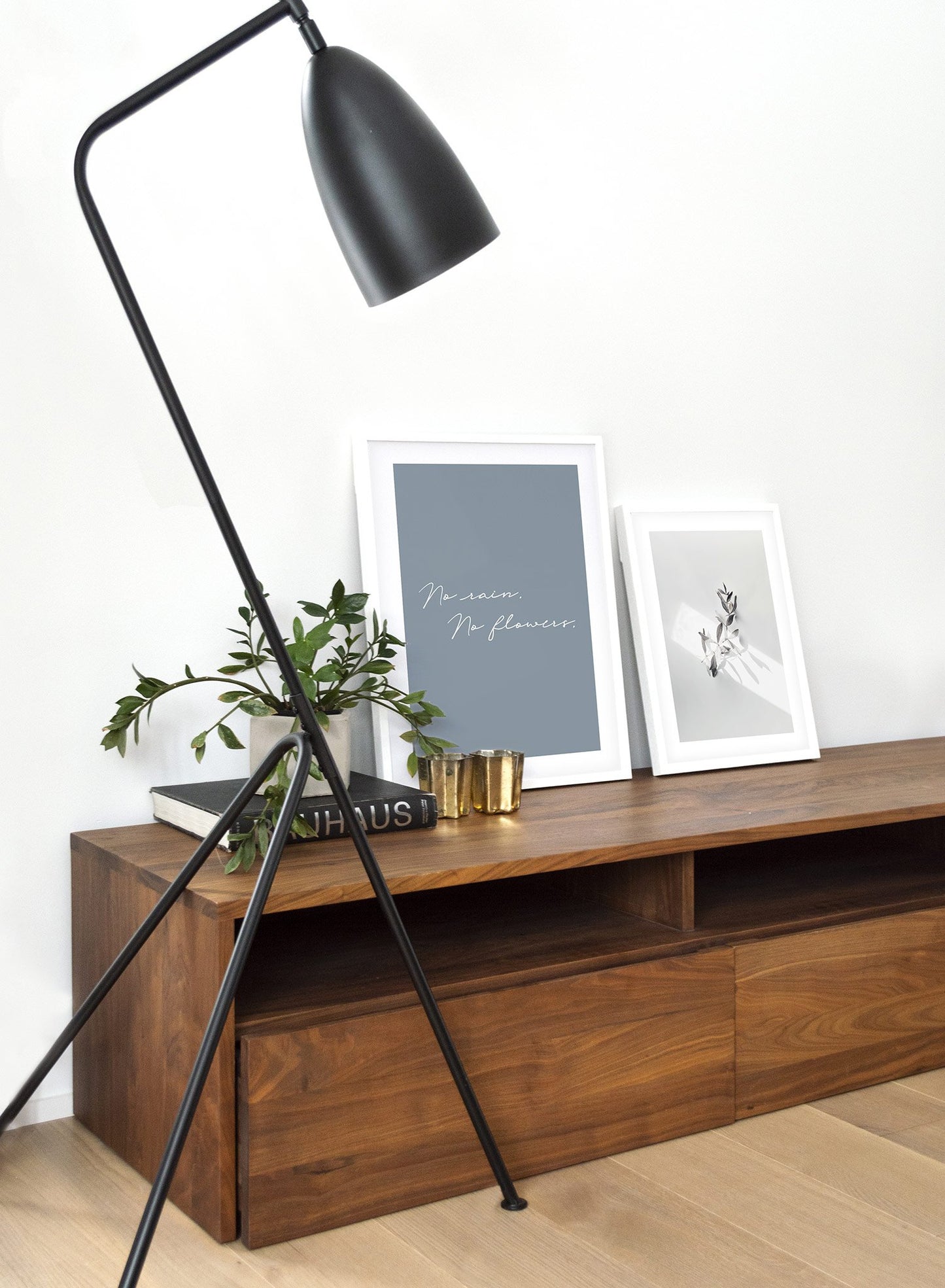 Modern minimalist photography print by Opposite Wall with single leaf in sunlight - Lifestyle Duo - Living Room