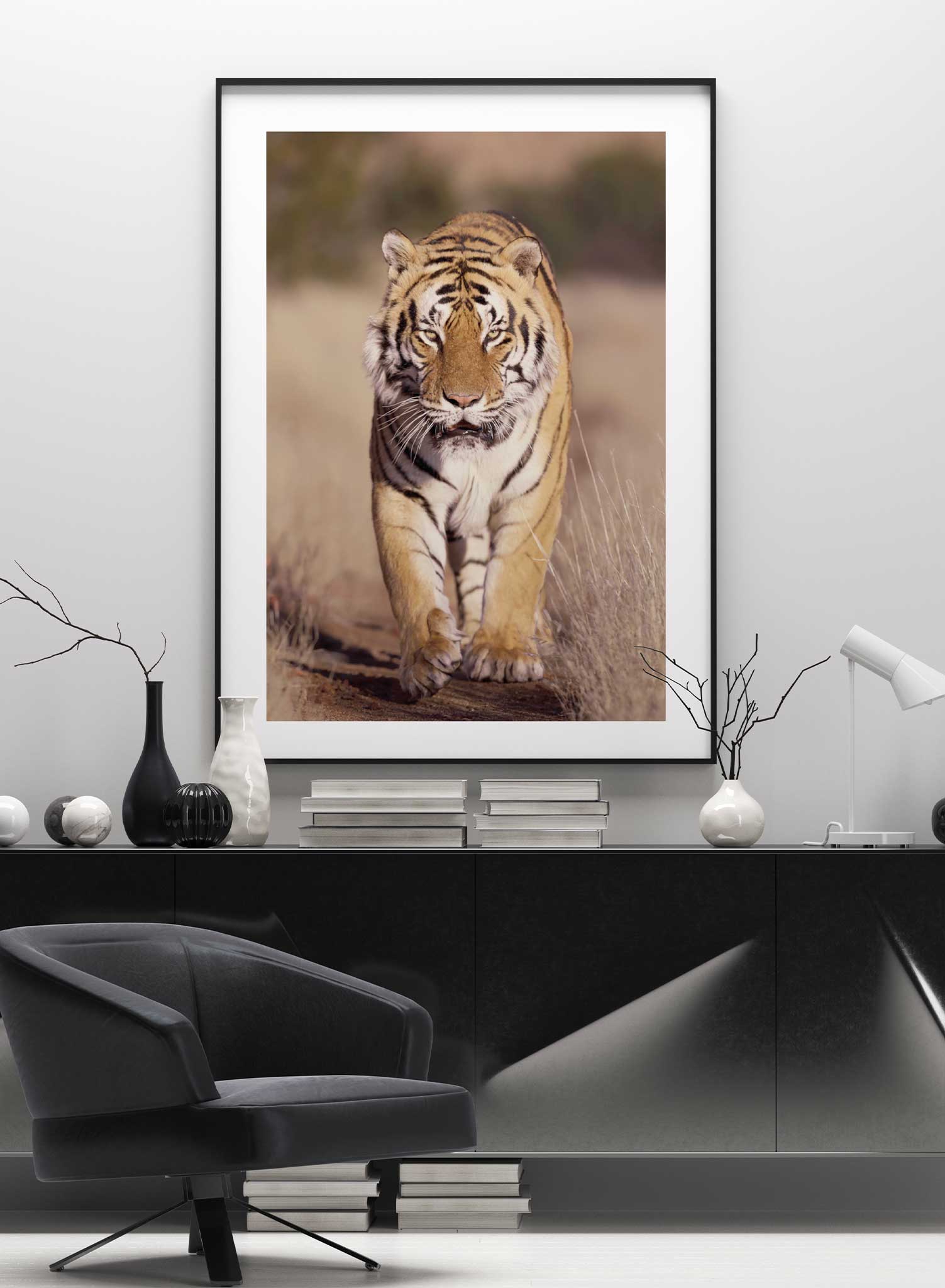 On the Prowl is a minimalist photography of a mighty tiger staring right at the observer as if it is ready to pounce by Opposite Wall.