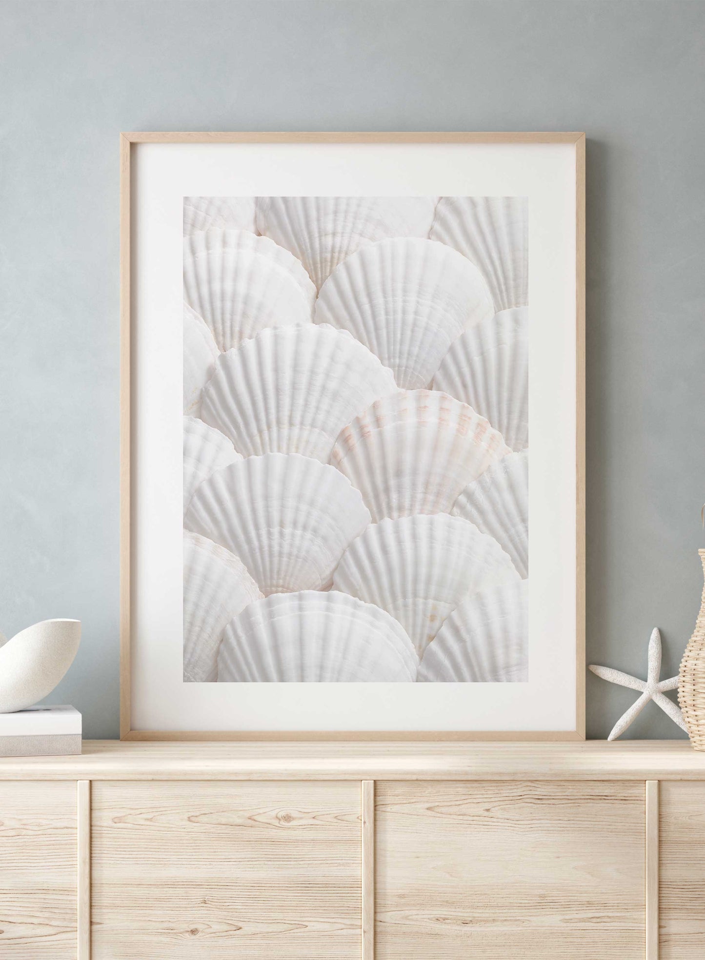 Seashell Selection | Shop Posters & Prints Online at Opposite Wall