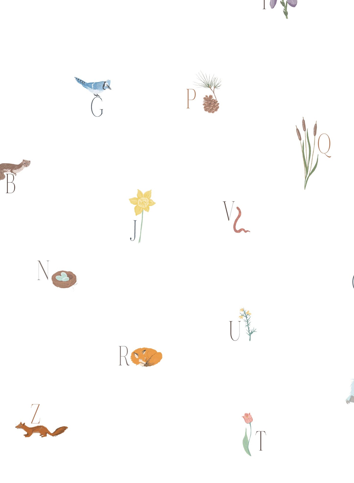 Woodland Lesson in French is a Minimalist wallpaper by Opposite Wall of an alphabet with an animal & forest them