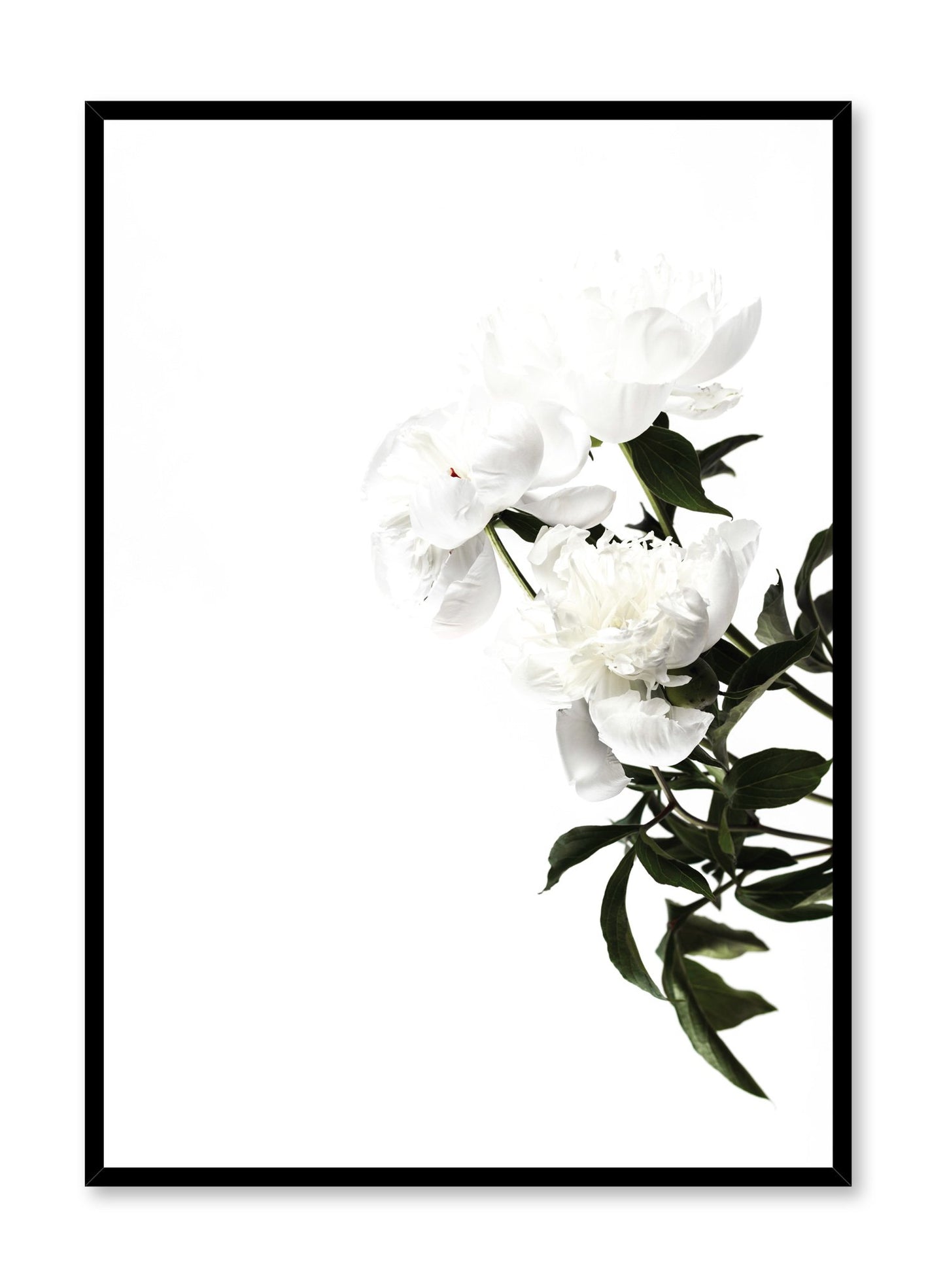 Minimalist art Daylight poster by Opposite Wall with botanical photography