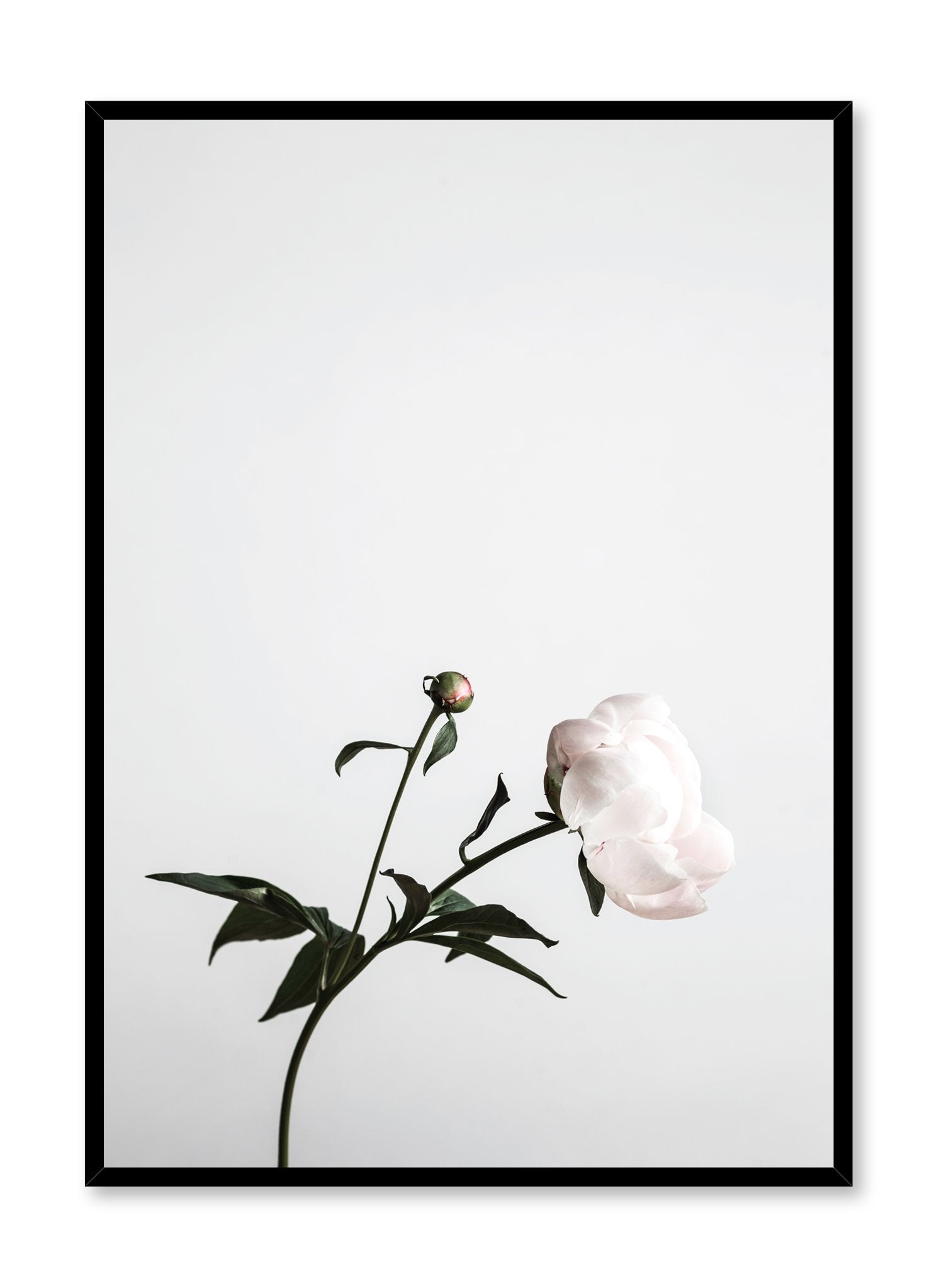 Modern minimalist art print by Opposite Wall with trendy floral art photo Hope