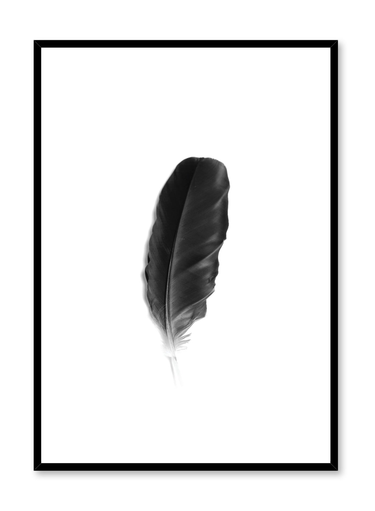 Minimalist art print by Opposite Wall with Fine Feather black and white photography