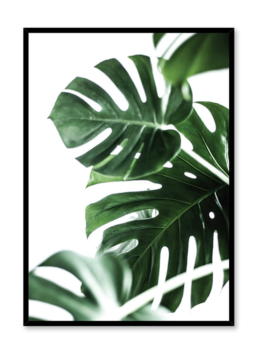 Modern minimalist art print by Opposite Wall with Monstera leaves art photo design