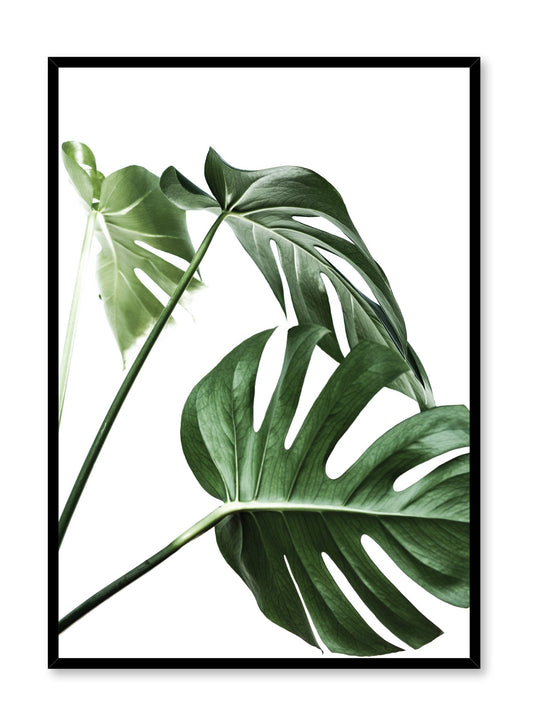 Scandinavian art print by Opposite Wall with with Monstera leaf photo Three's a charm.