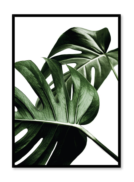 Scandinavian poster by Opposite Wall with trendy with Monstera leaf Overlap