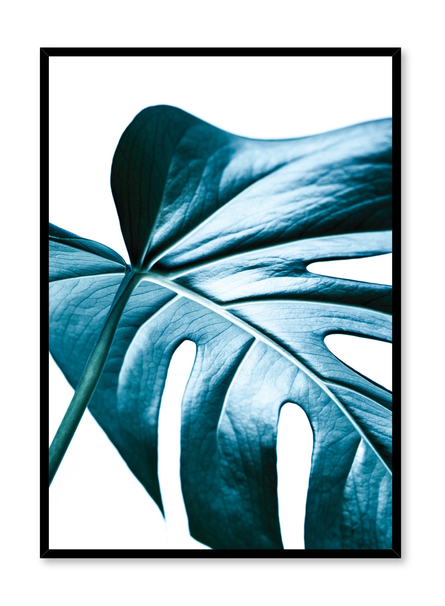 Minimalist poster by Opposite Wall with monstera leaf - Nature's Glimmer