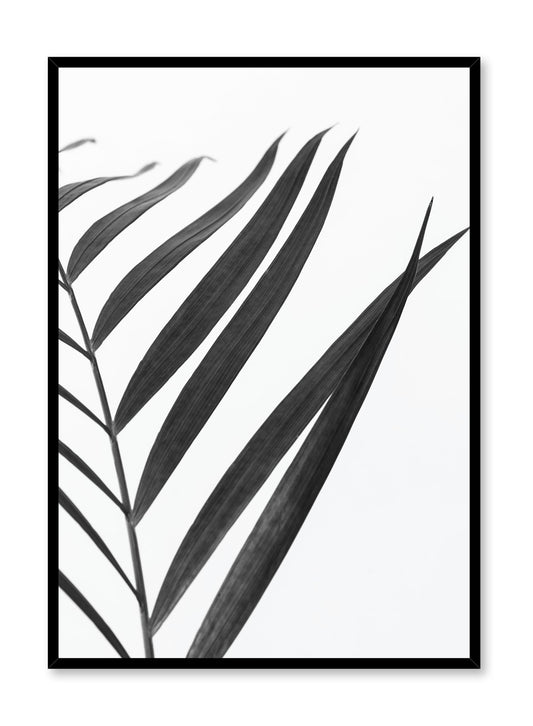Minimalist Black and White Palm Photography Poster by Opposite Wall
