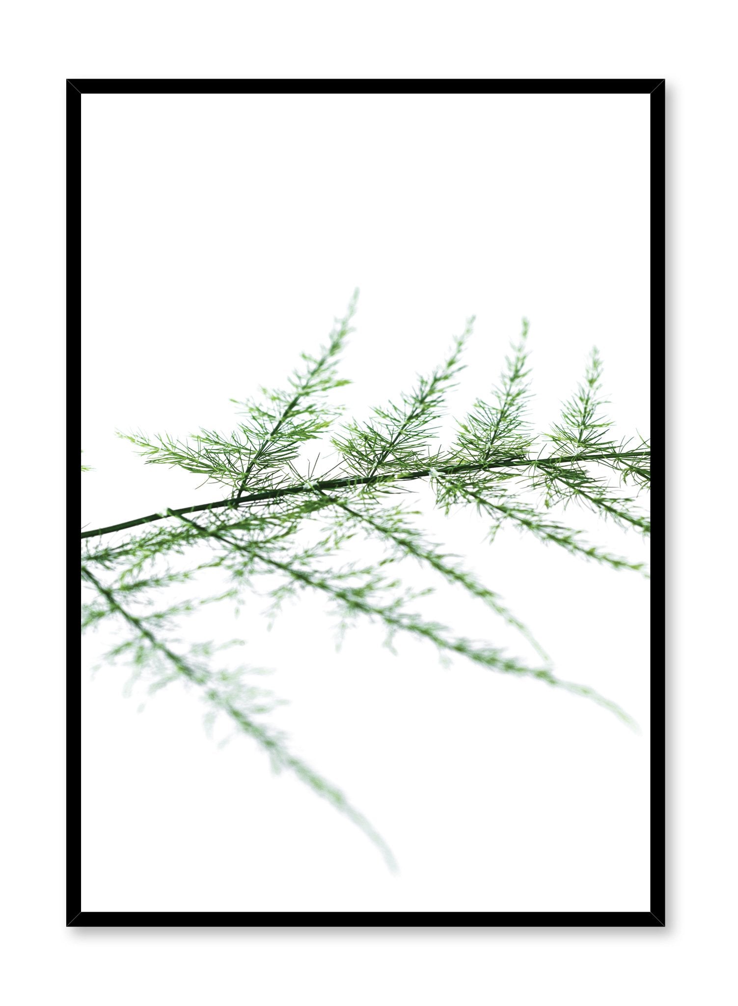 Scandinavian poster by Opposite Wall with trendy Gentle on Eyes fern branch photography