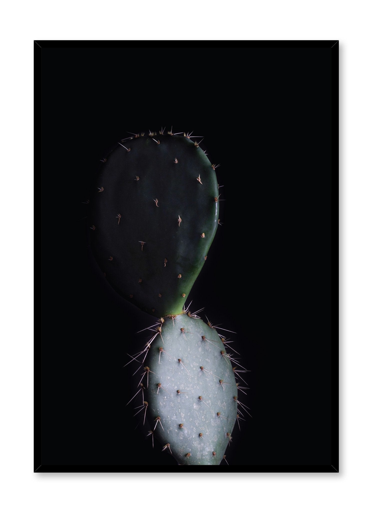 Scandinavian poster by Opposite Wall with cactus art photo design on black bacground - Reflection