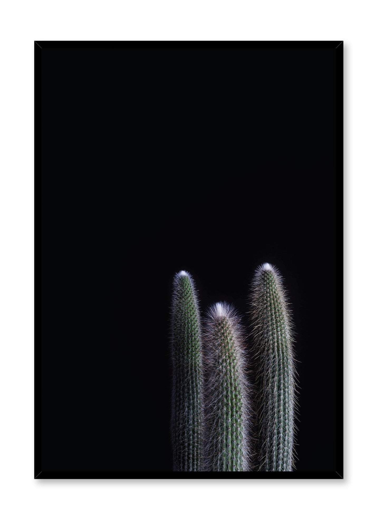 minimalist art print by Opposite Wall with cool with cactus on black bacground