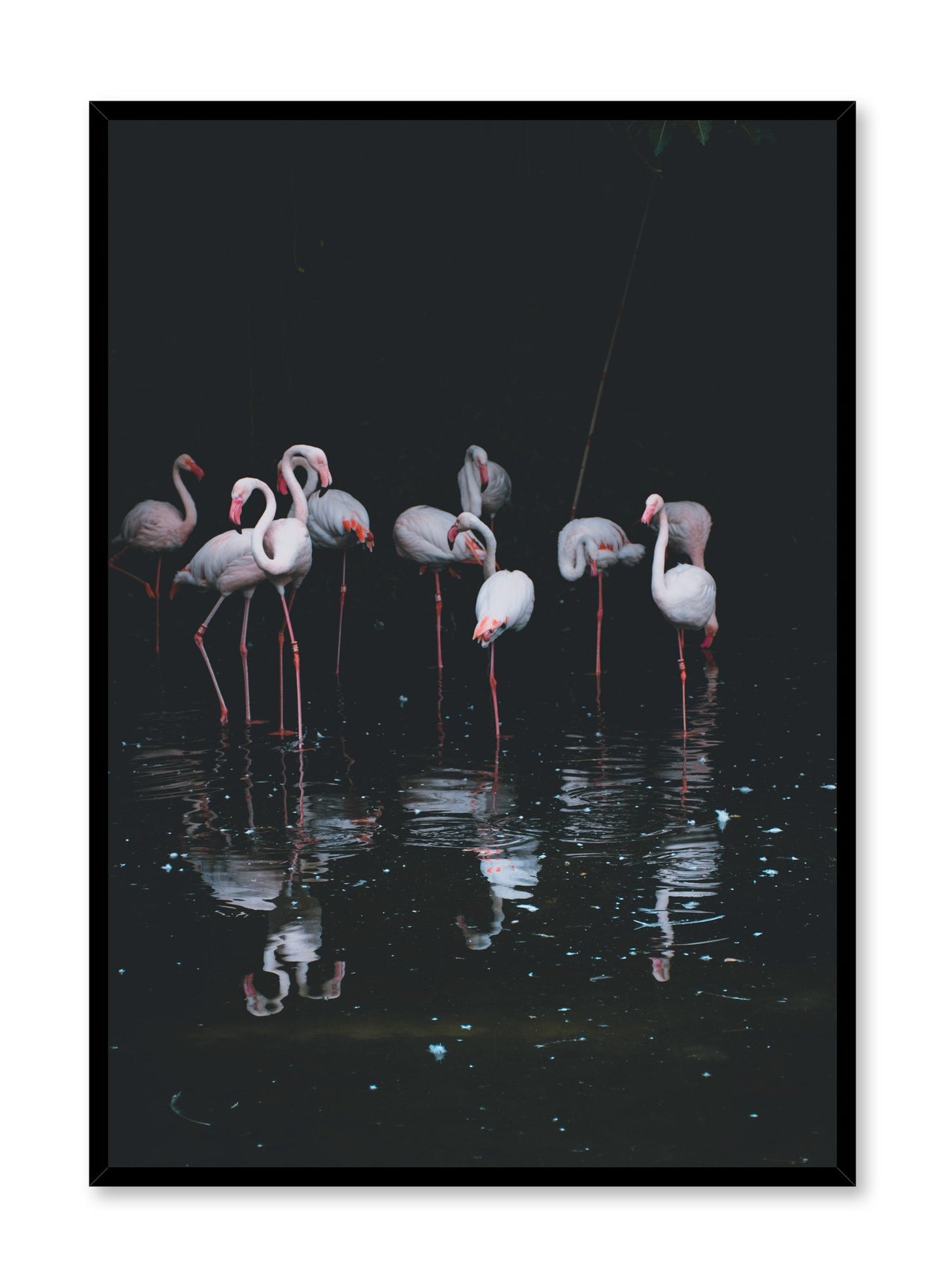 Modern minimalist poster by Opposite Wall with Flamingos
