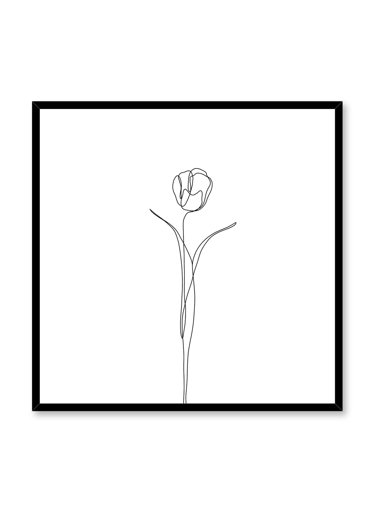 Modern minimalist poster by Opposite Wall with abstract illustration of Tulip in square format