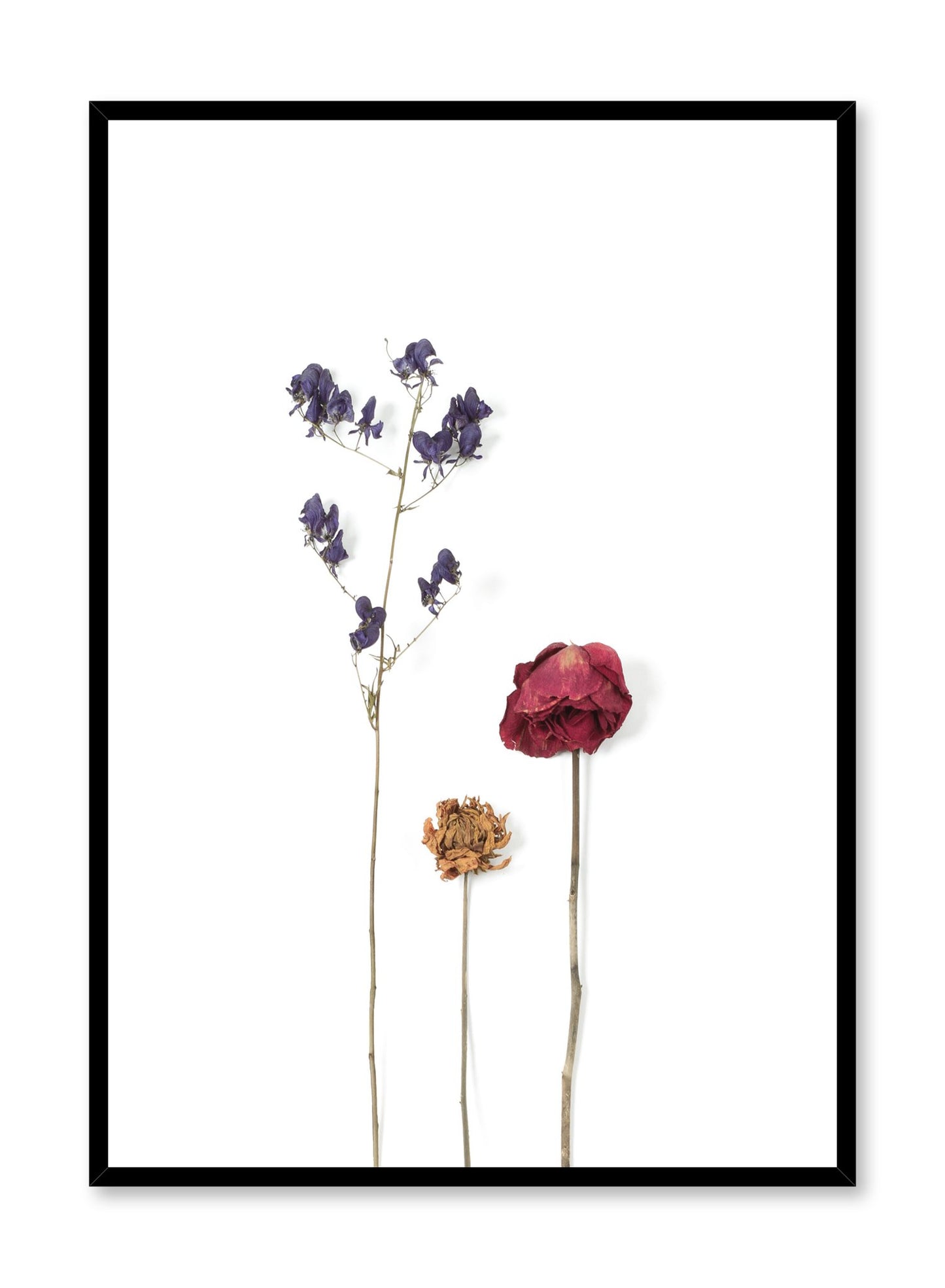 Scandinavian art photo print by Opposite Wall with dried flowers