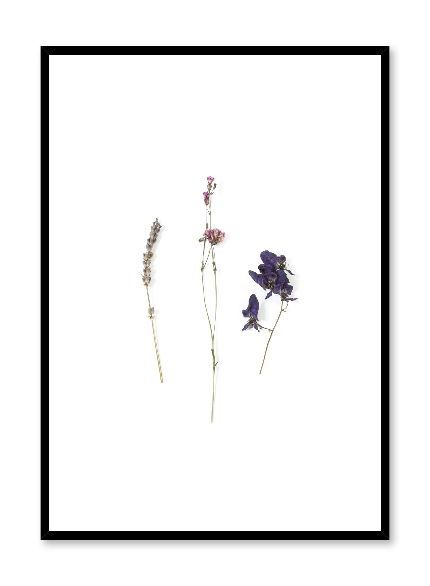 Scandinavian art photo print by Opposite Wall with dried trio flowers