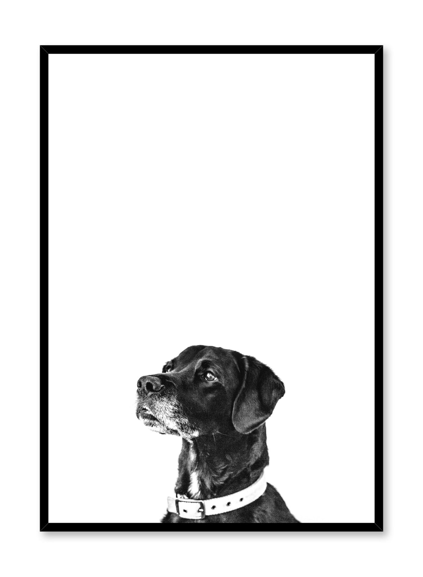 Modern minimalist black and white photo print of a dog by Opposite Wall