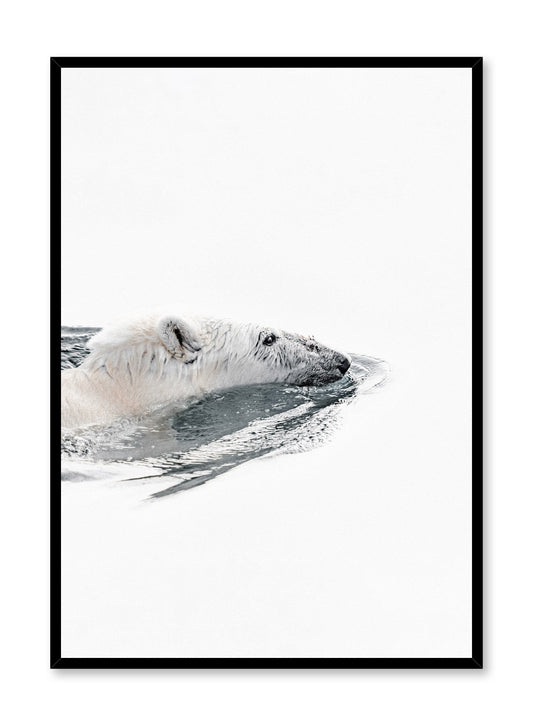 Modern minimalist kids poster for children's room, featuring photography of polar bear swimming. Available at Opposite Wall
