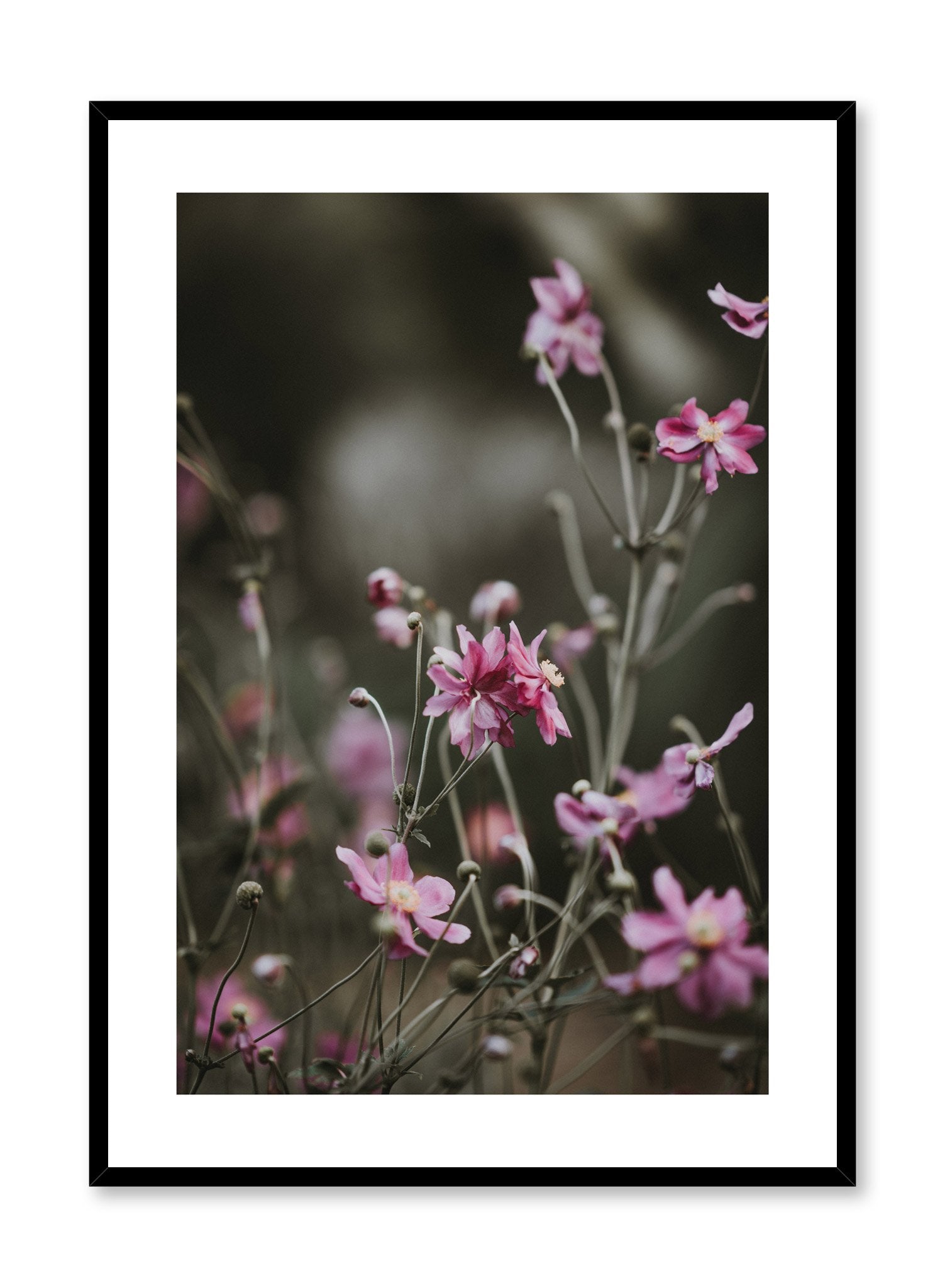 Minimalist design poster by Opposite Wall with flower photography