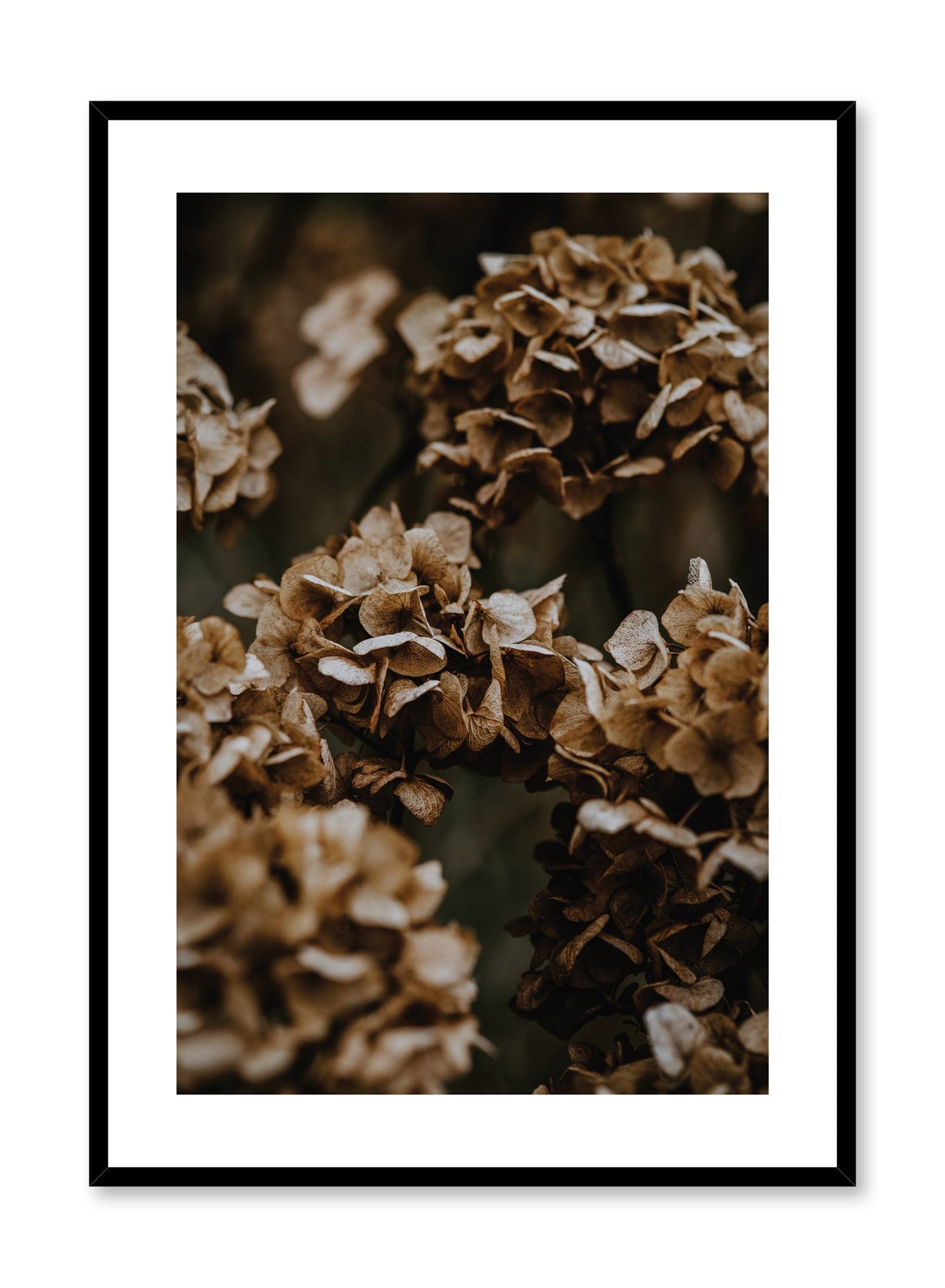 Minimalist design poster by Opposite Wall with Hydrangeas photography