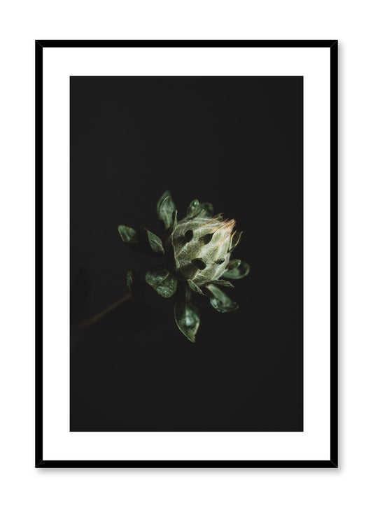 Minimalist design poster by Opposite Wall with Blooming Plant photography