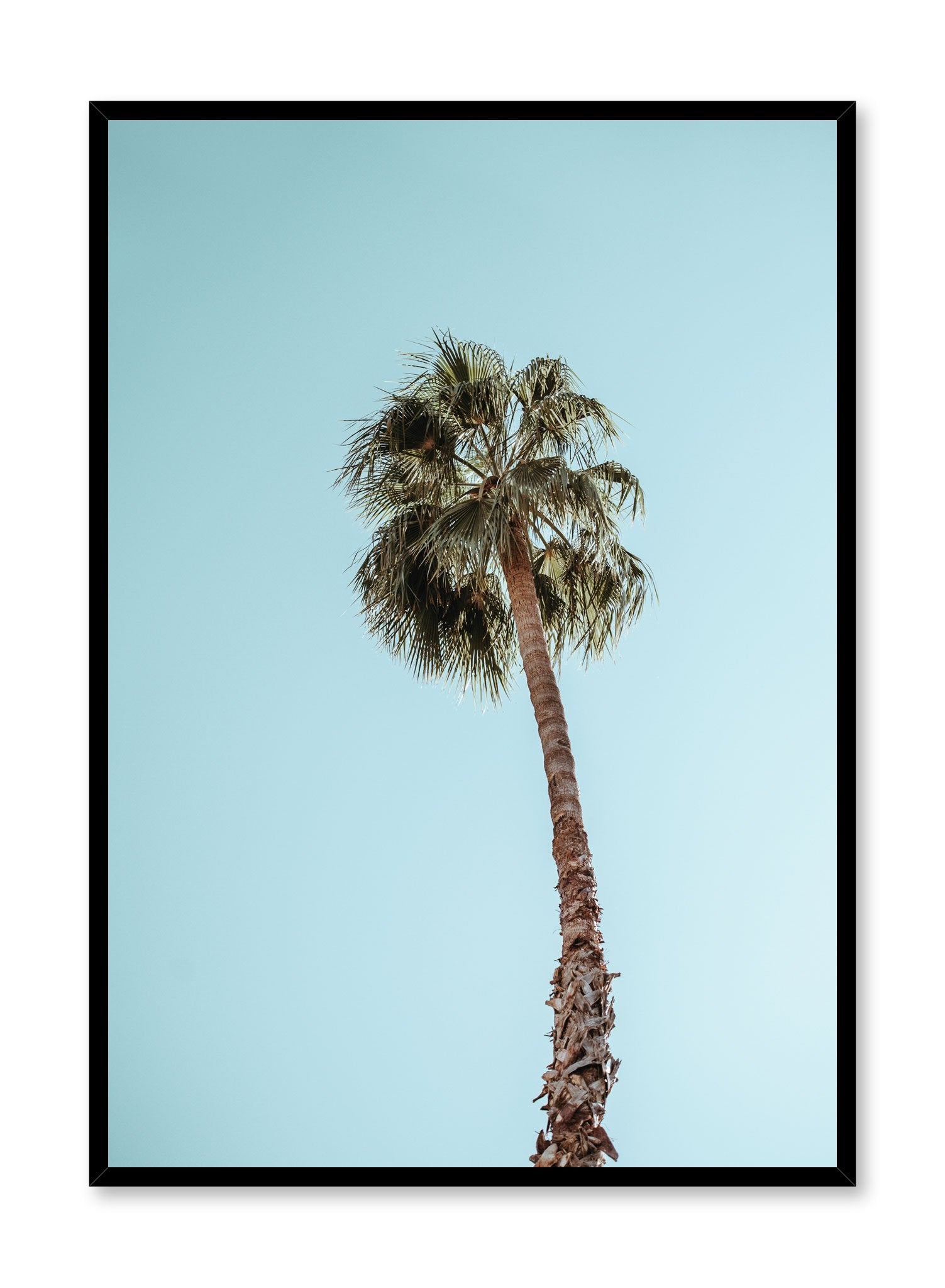 Minimalist design poster by Opposite Wall with palm tree photography