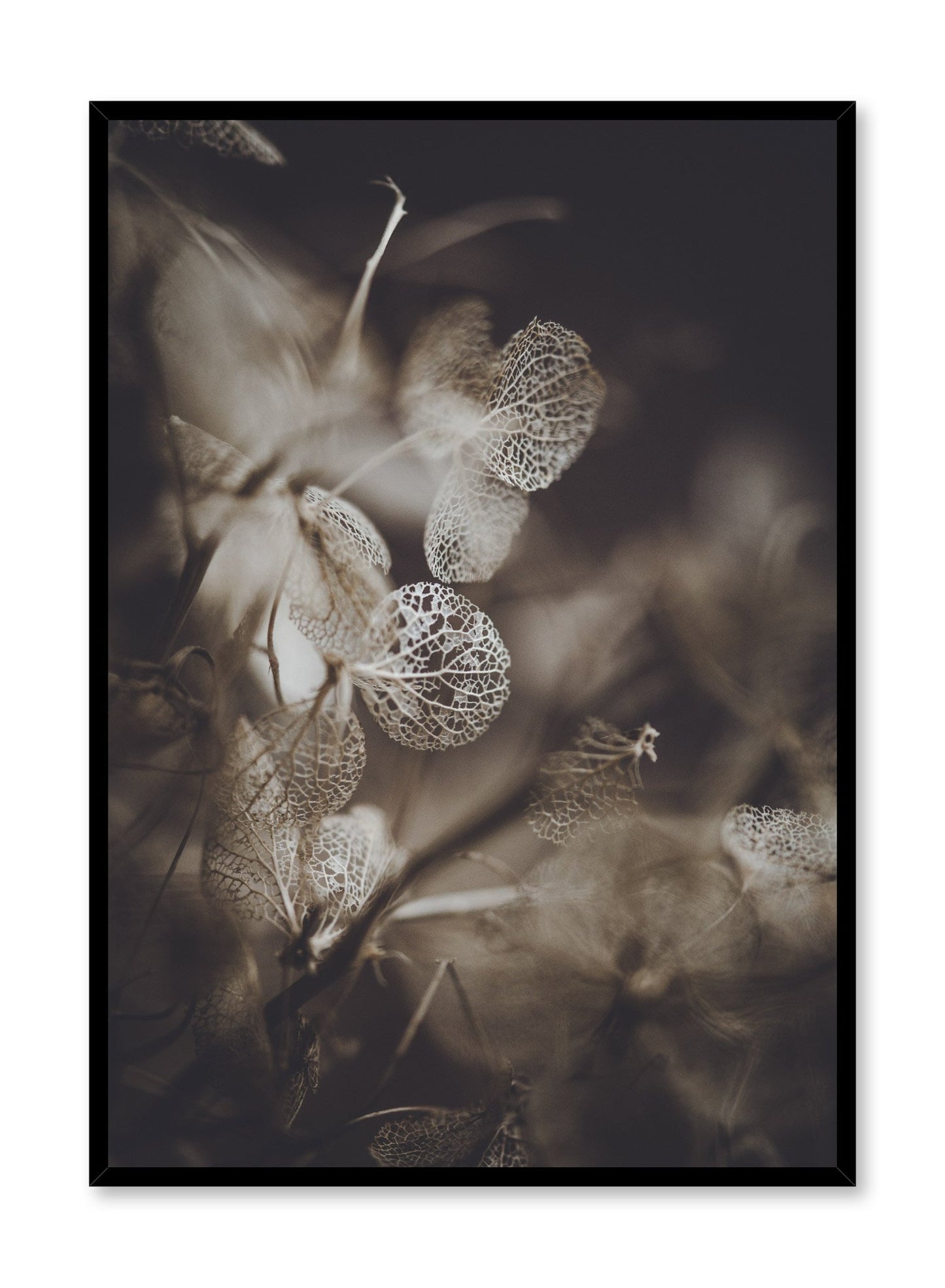 Minimalist design poster by Opposite Wall with Hydrangea Plant photography